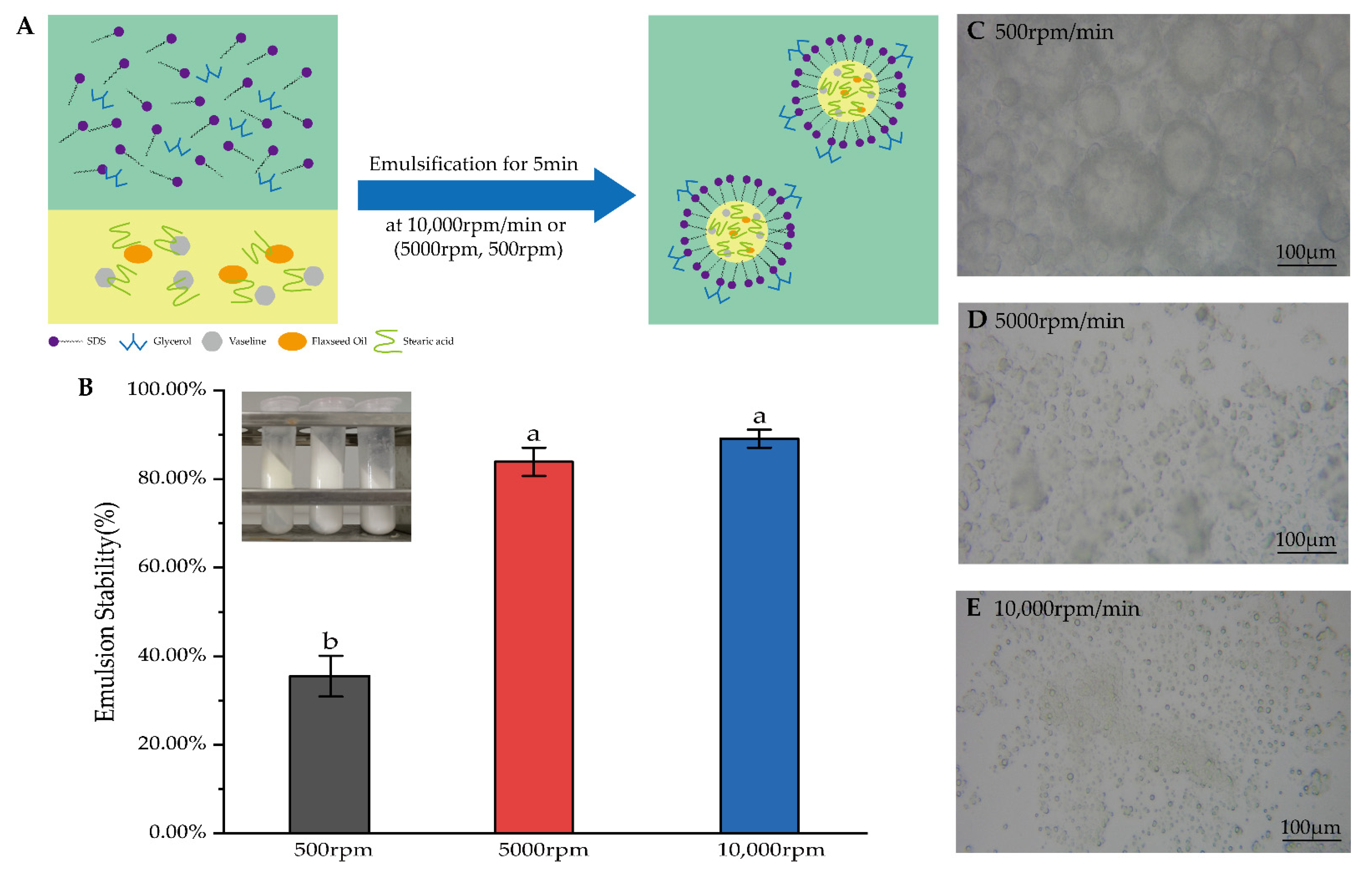 Pharmaceutics 14 01993 g003