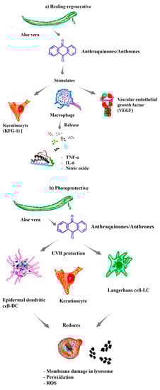 Pharmaceutics 14 02004 g002a Pharmaceutics 14 02004 g002a