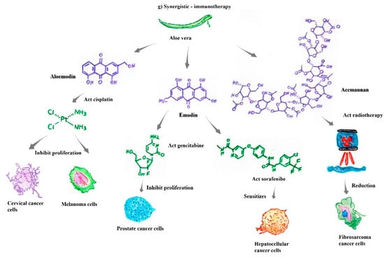 Pharmaceutics 14 02004 g002e