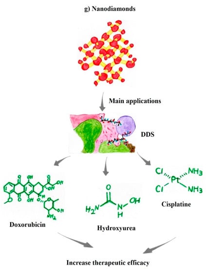 Pharmaceutics 14 02004 g003d