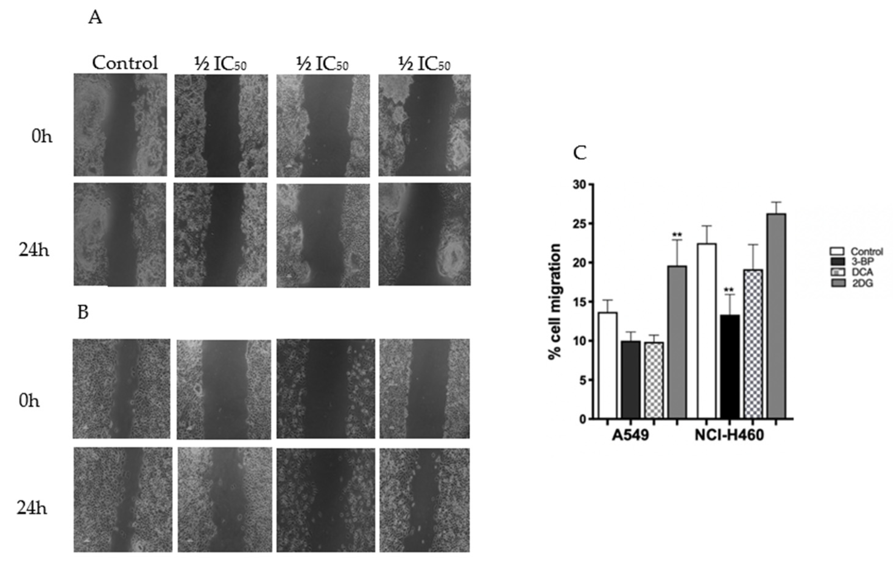 Pharmaceutics 14 02021 g006 Pharmaceutics 14 02021 g006