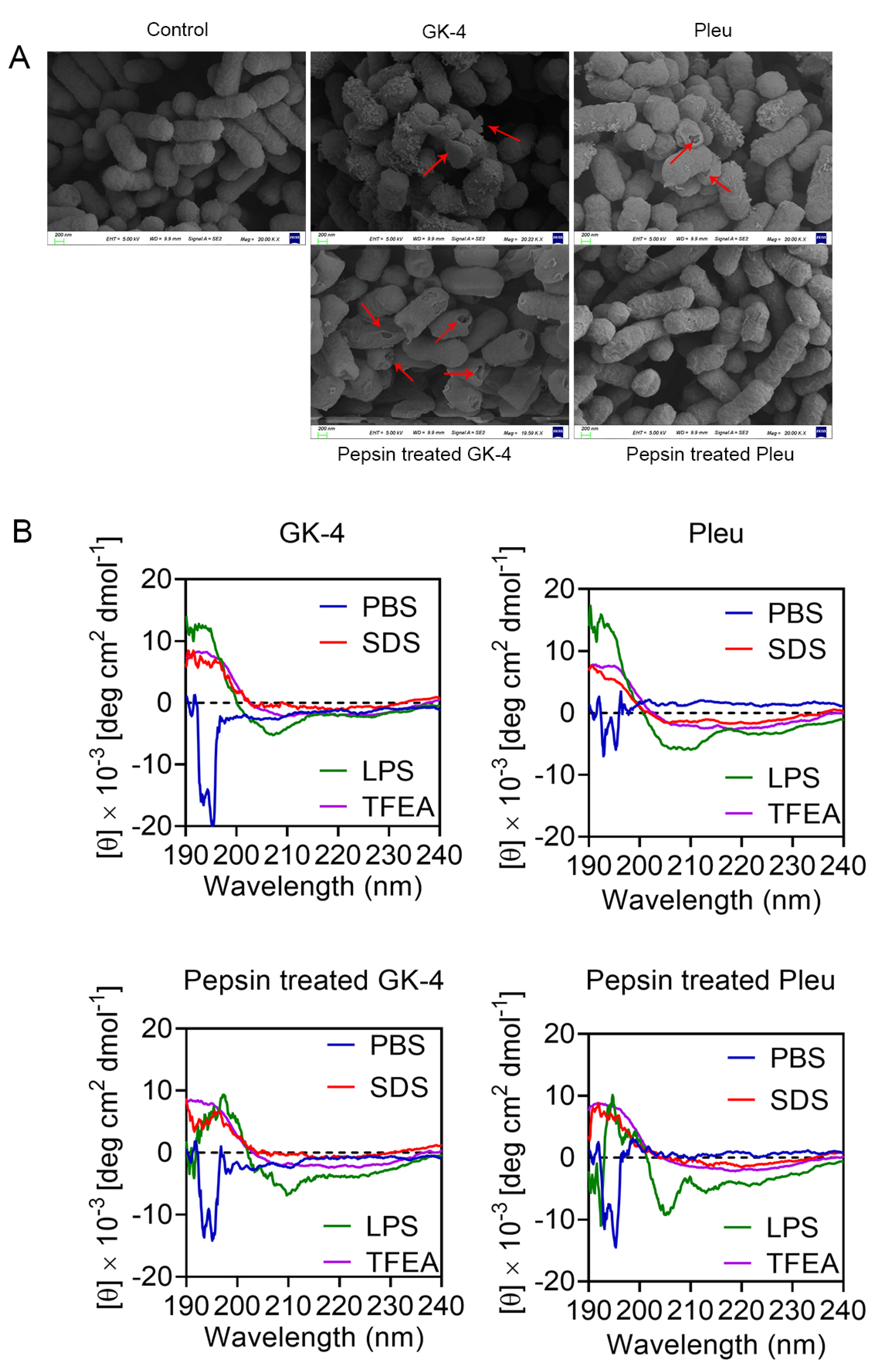 Pharmaceutics 14 02025 g005 Pharmaceutics 14 02025 g005