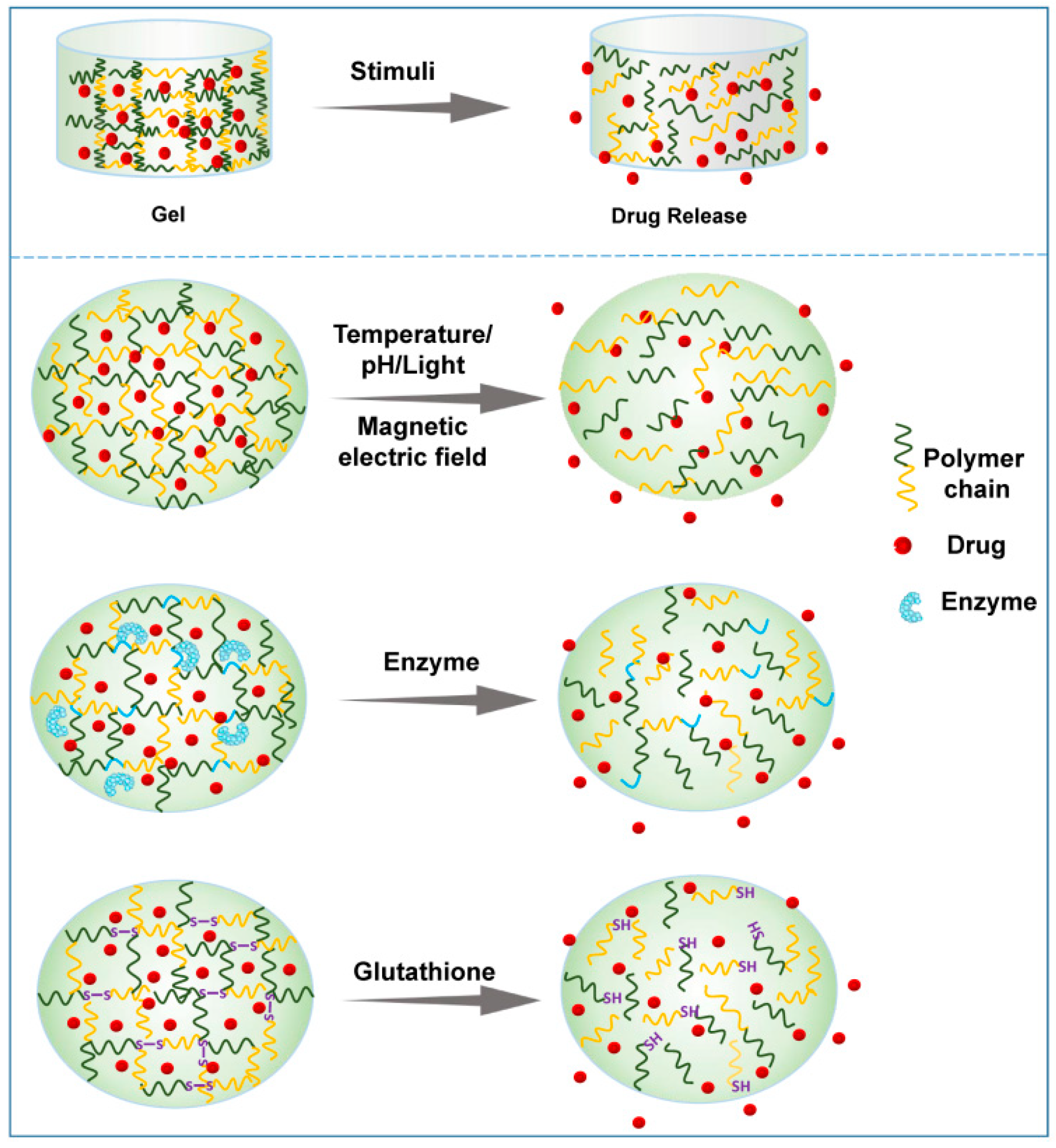 Pharmaceutics 14 02028 g004