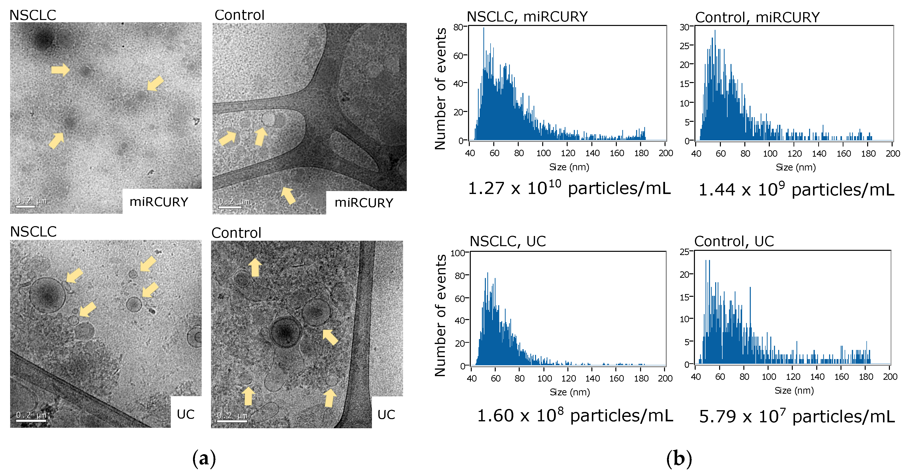 Pharmaceutics 14 02034 g001