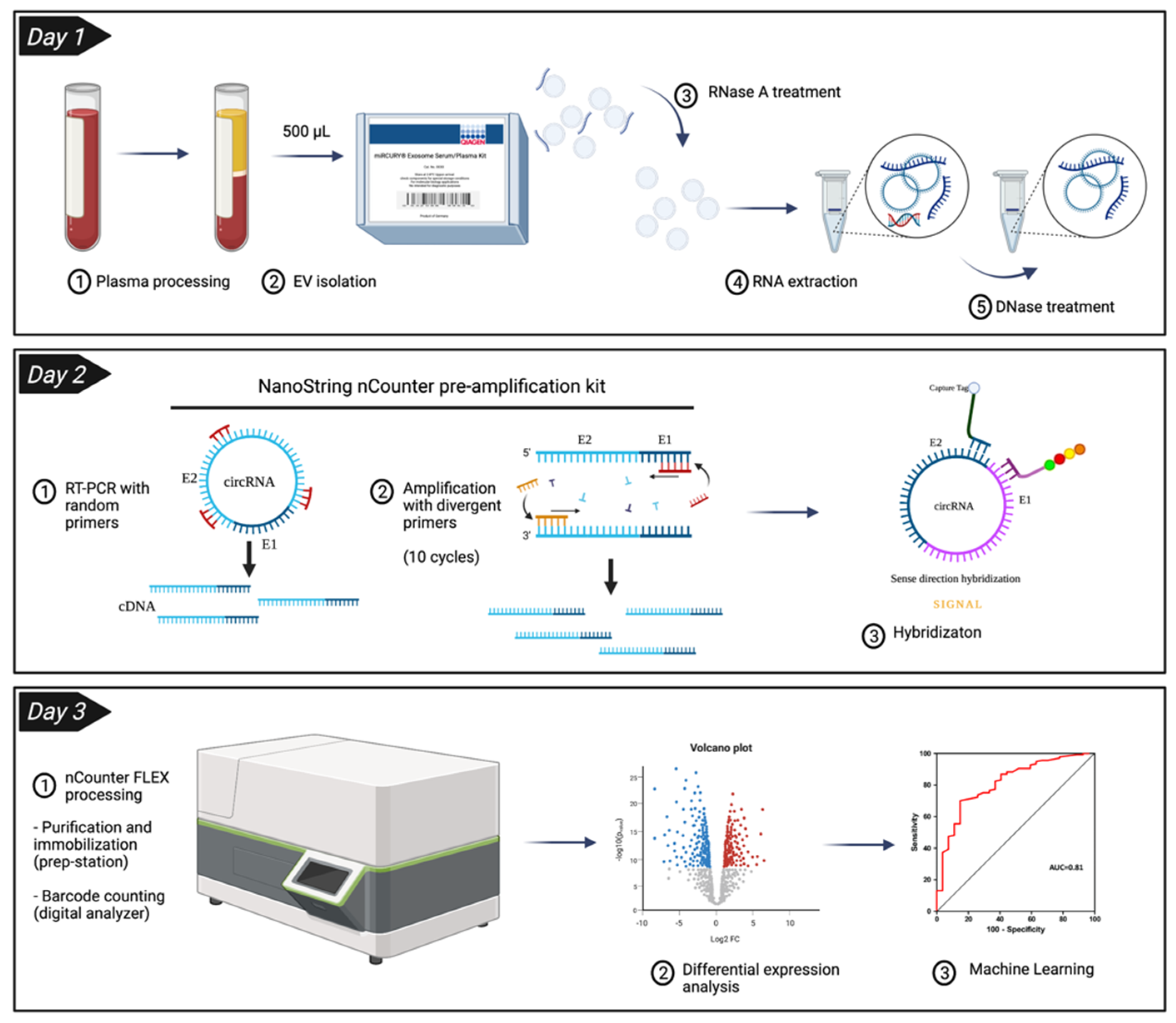 Pharmaceutics 14 02034 g004