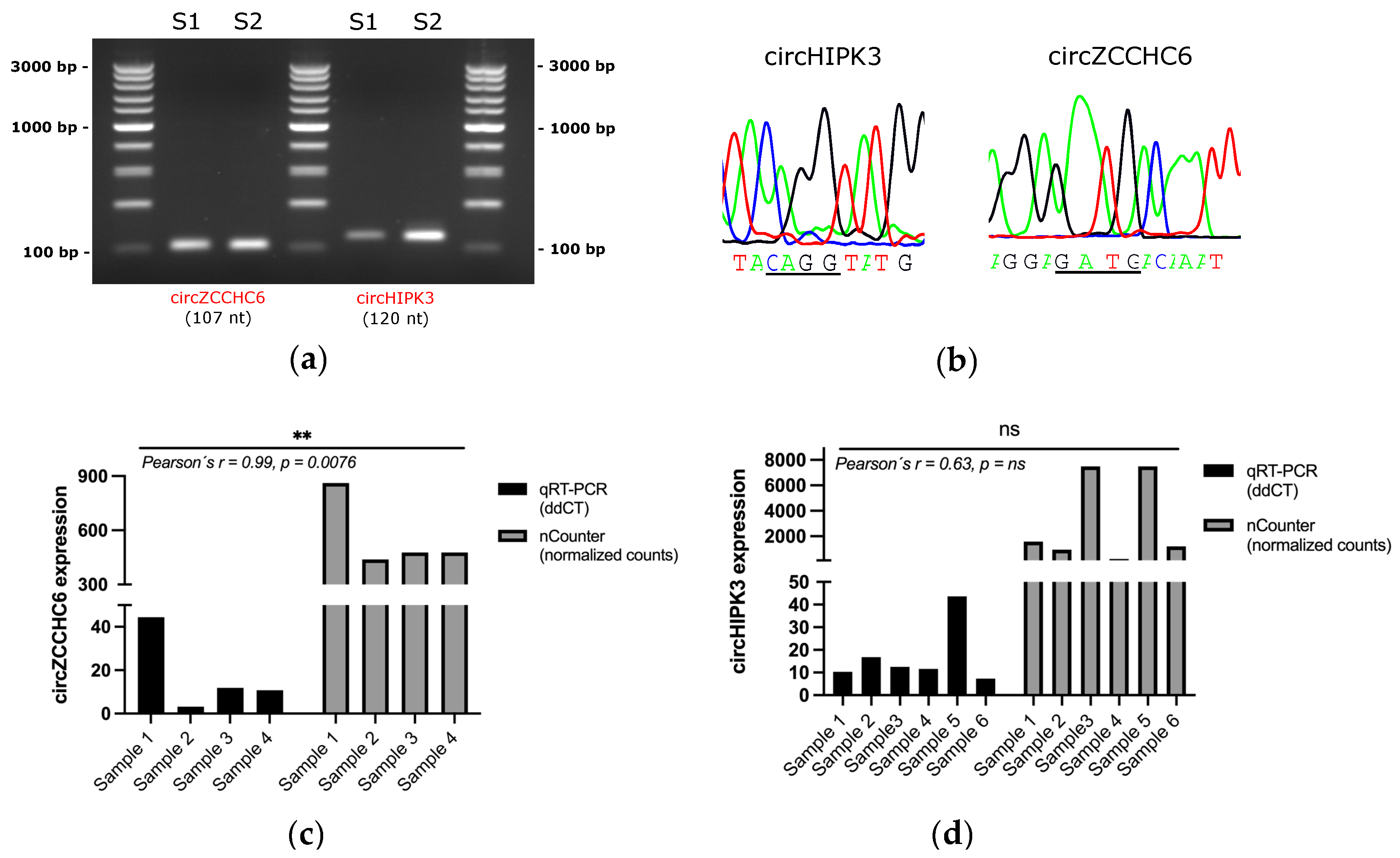 Pharmaceutics 14 02034 g006