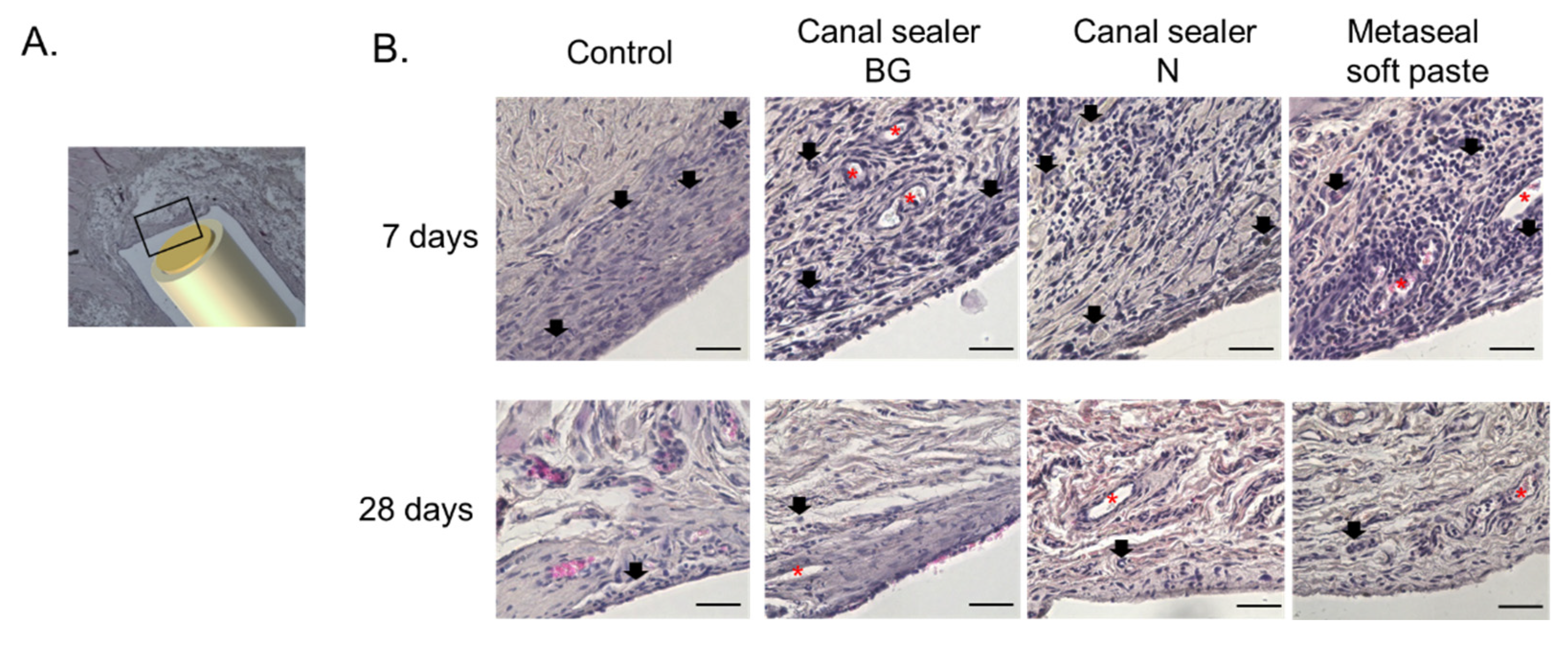 Pharmaceutics 14 02038 g002