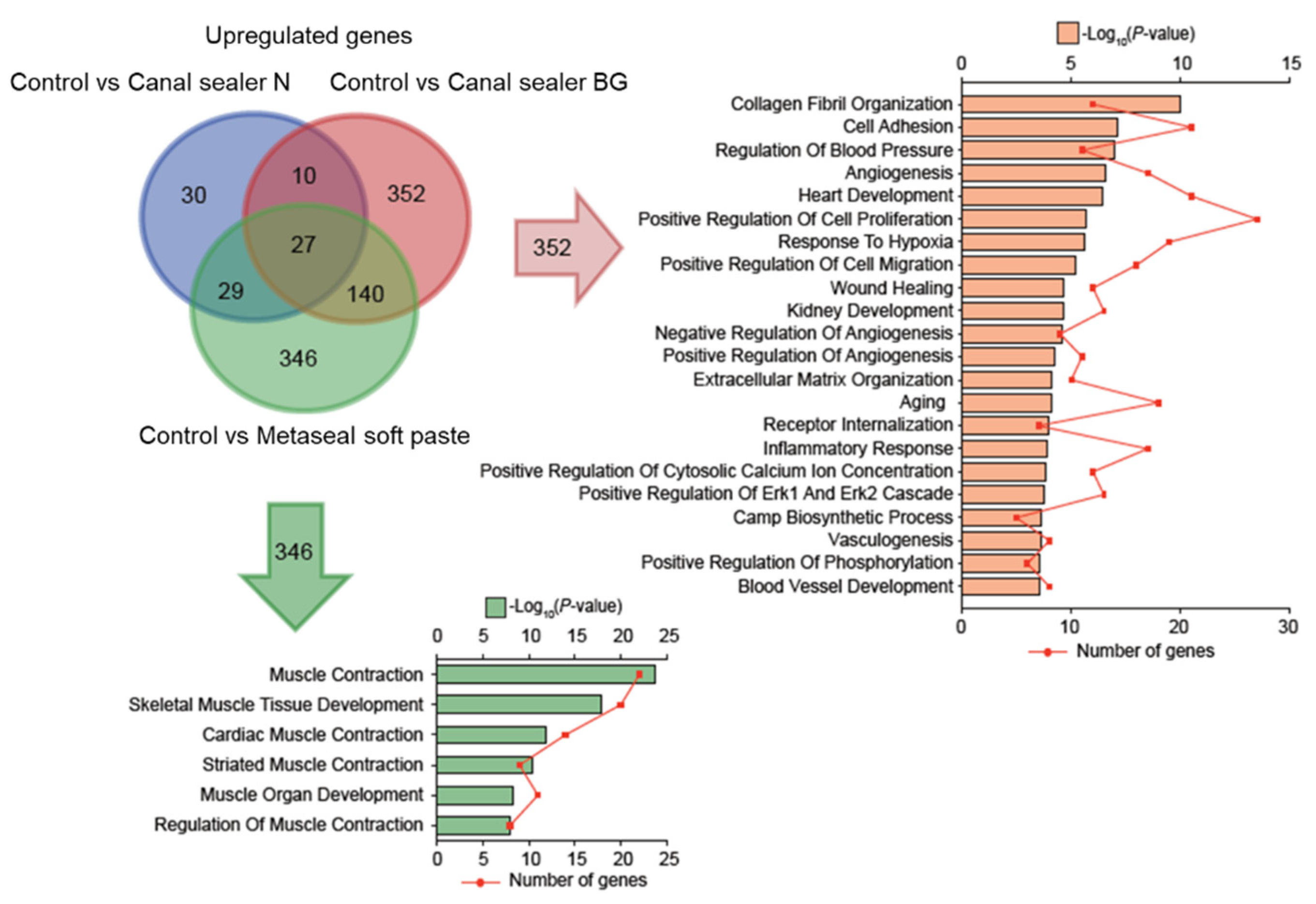 Pharmaceutics 14 02038 g006