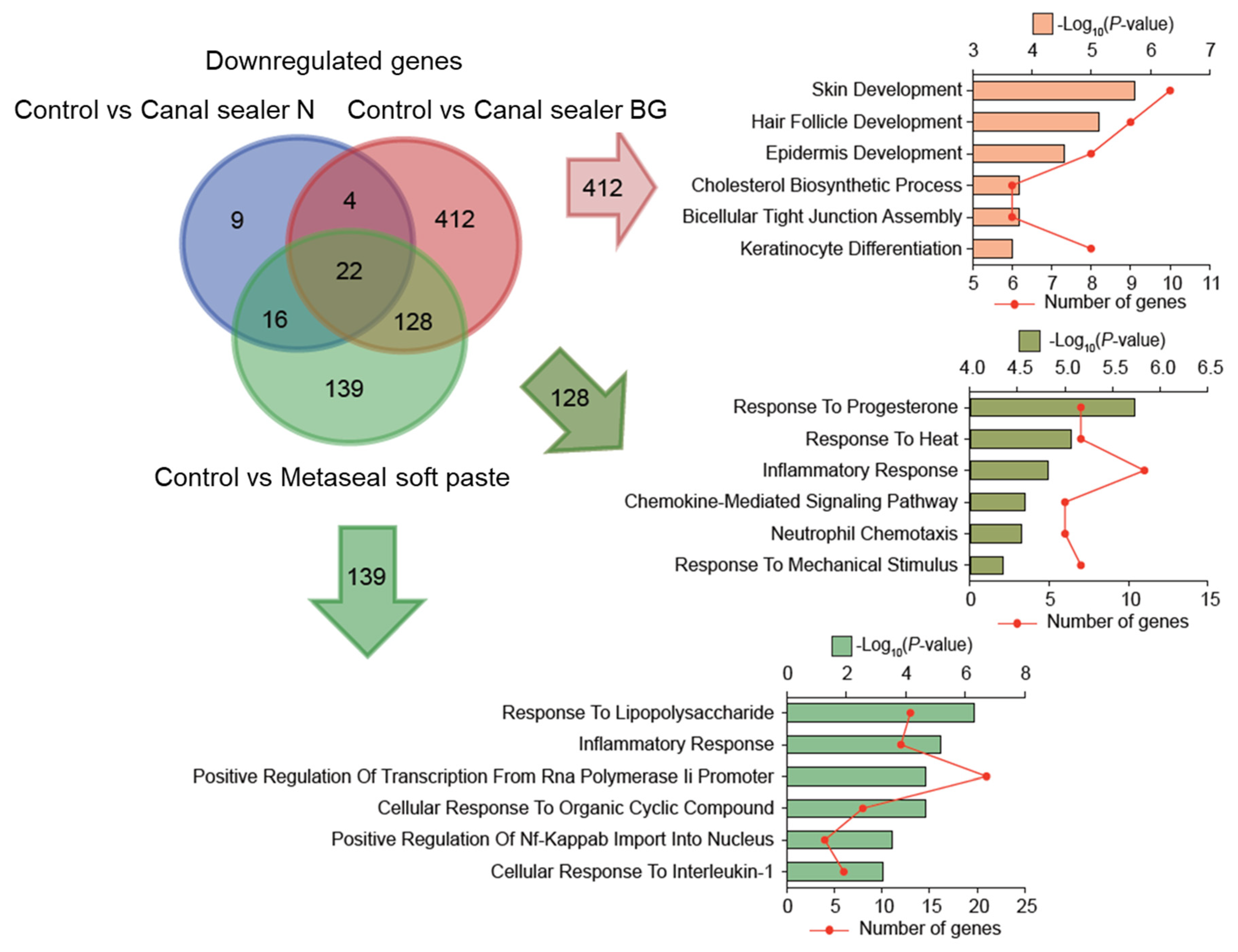 Pharmaceutics 14 02038 g007