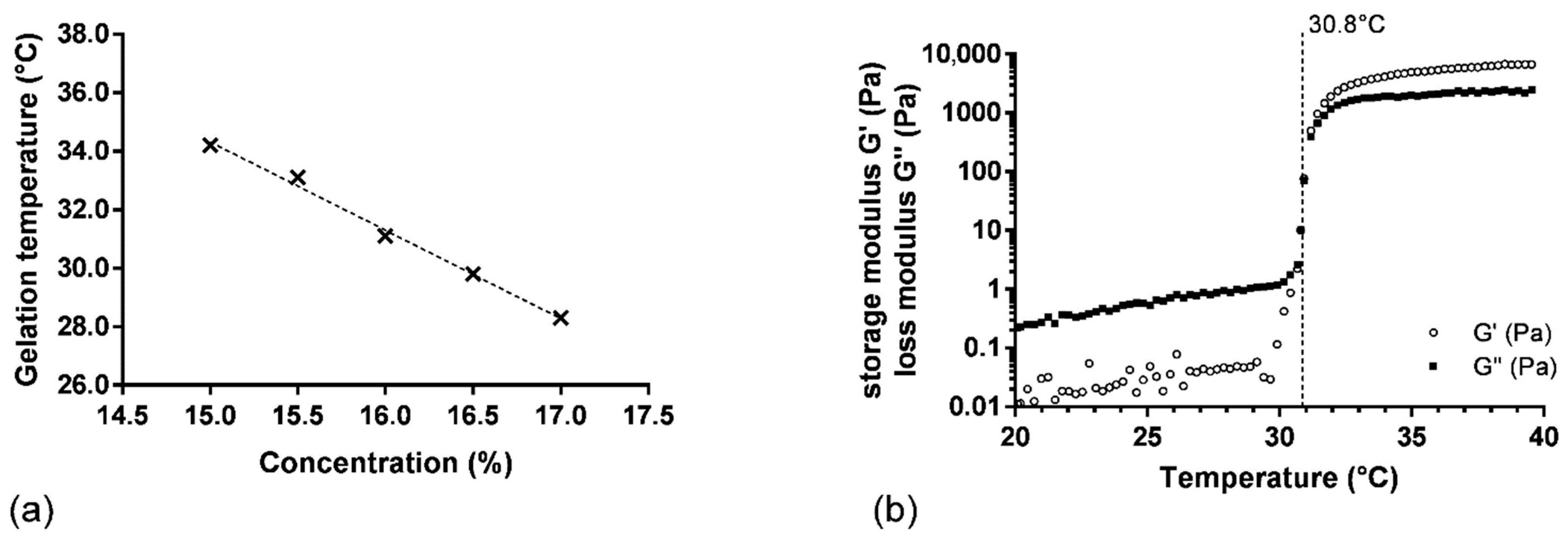Pharmaceutics 14 02039 g001