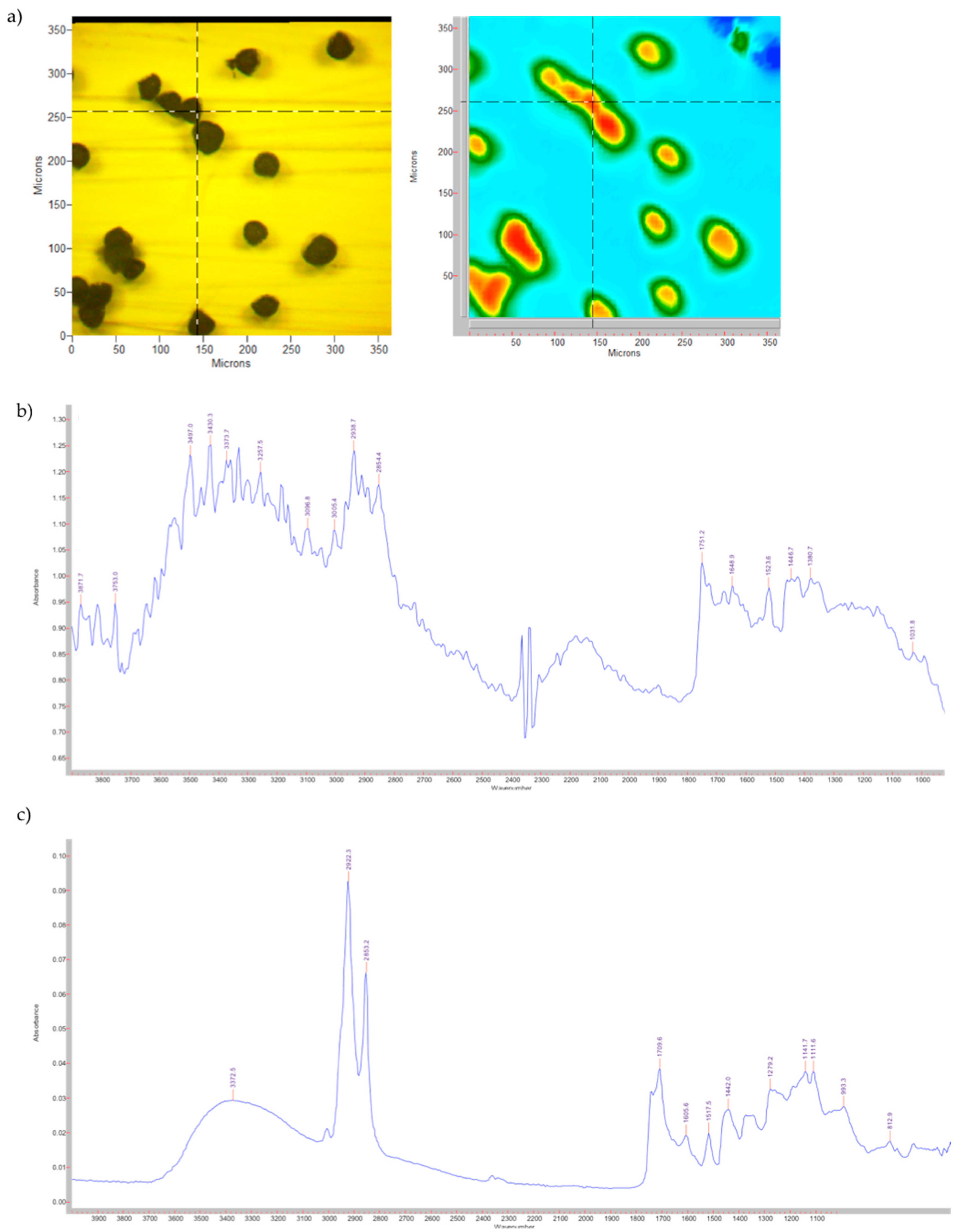 Pharmaceutics 14 02041 g001