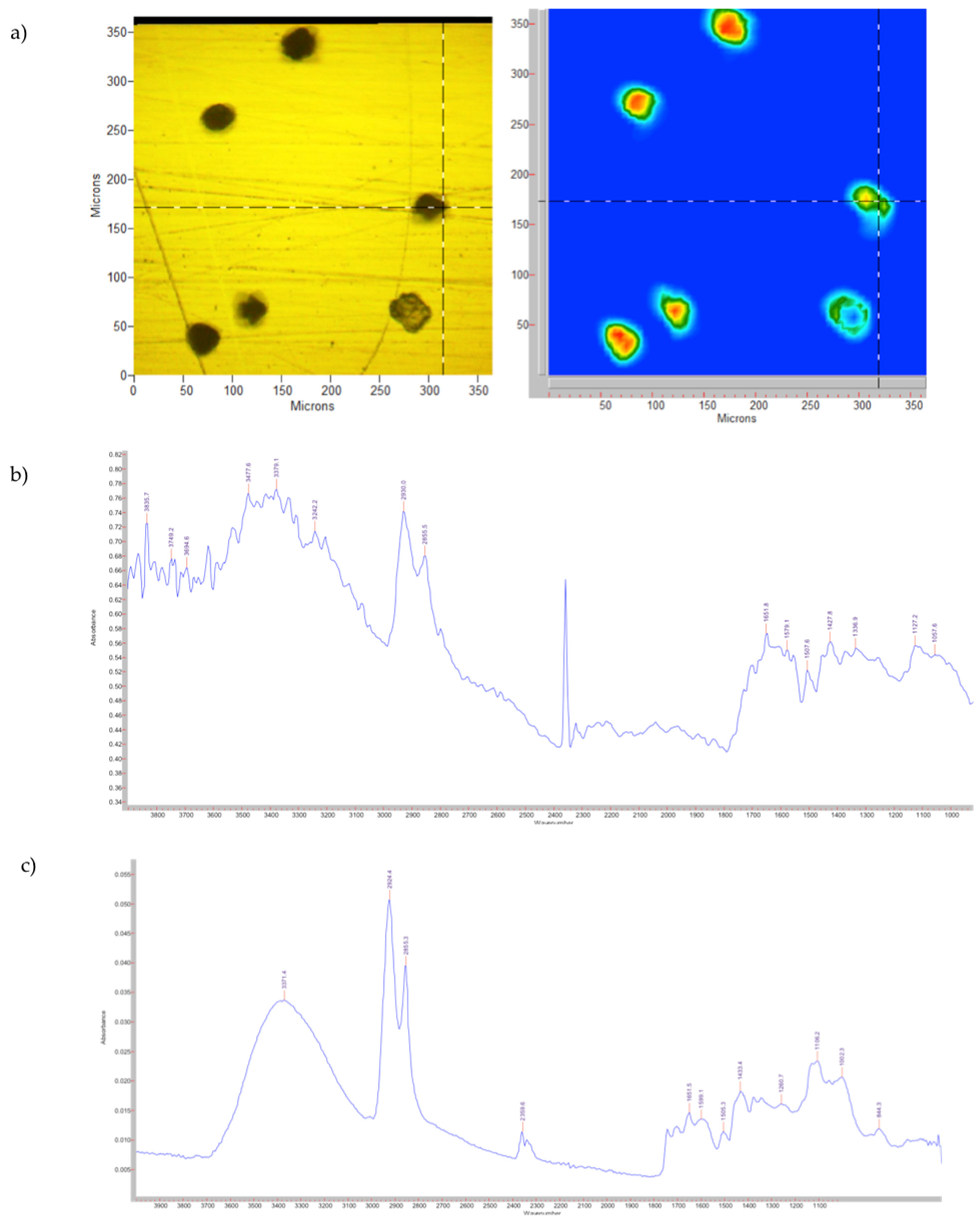 Pharmaceutics 14 02041 g002