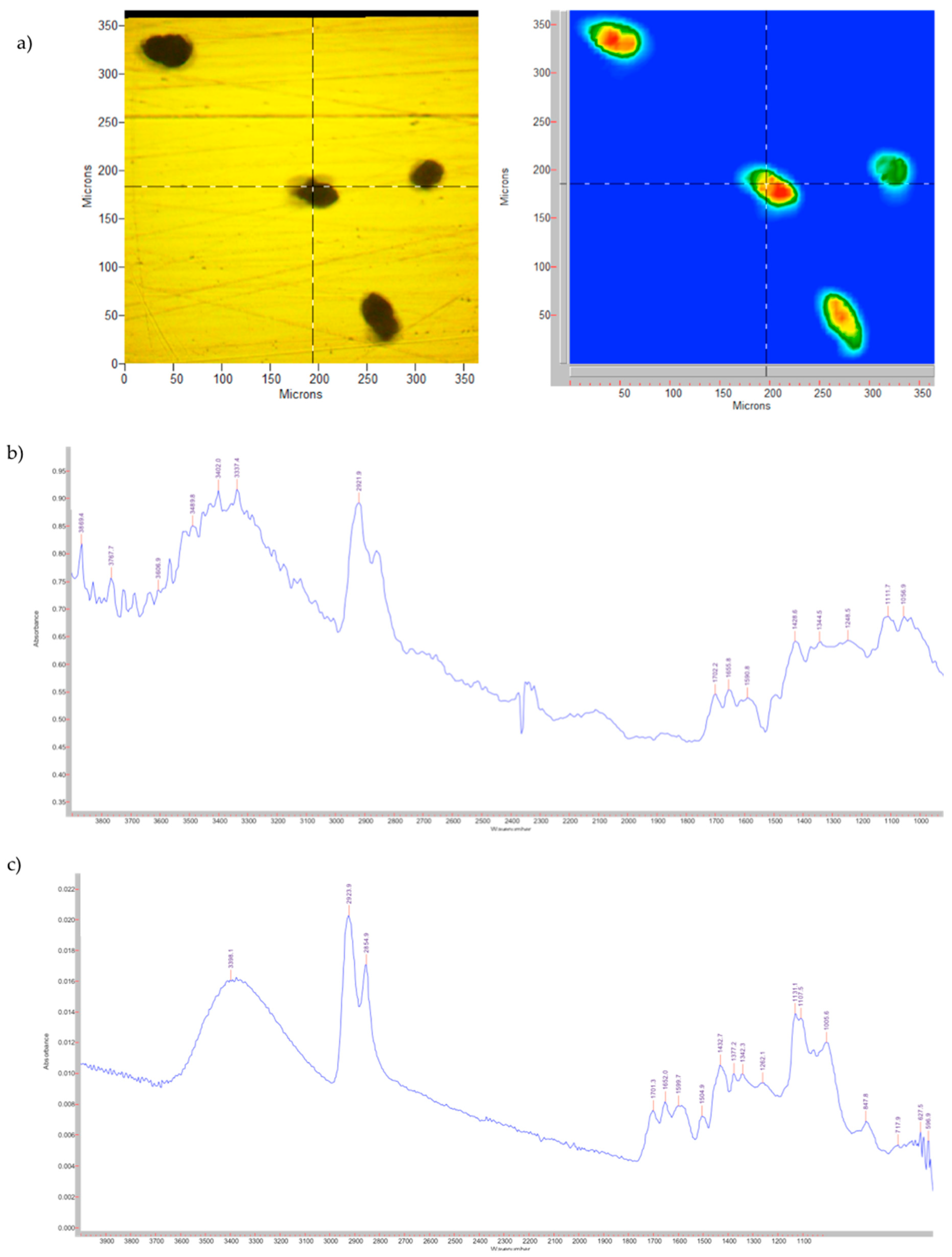 Pharmaceutics 14 02041 g005