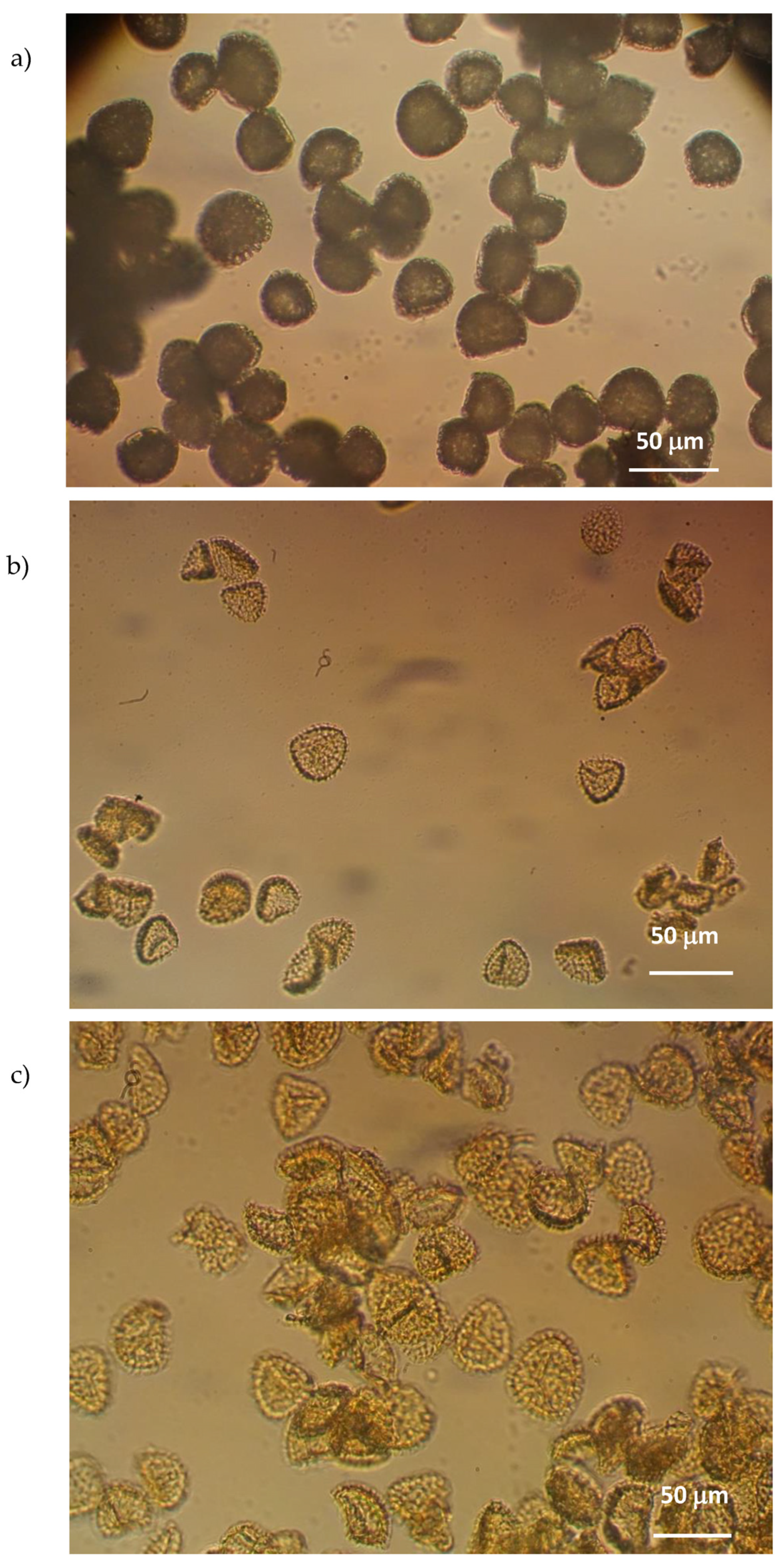 Pharmaceutics 14 02041 g006