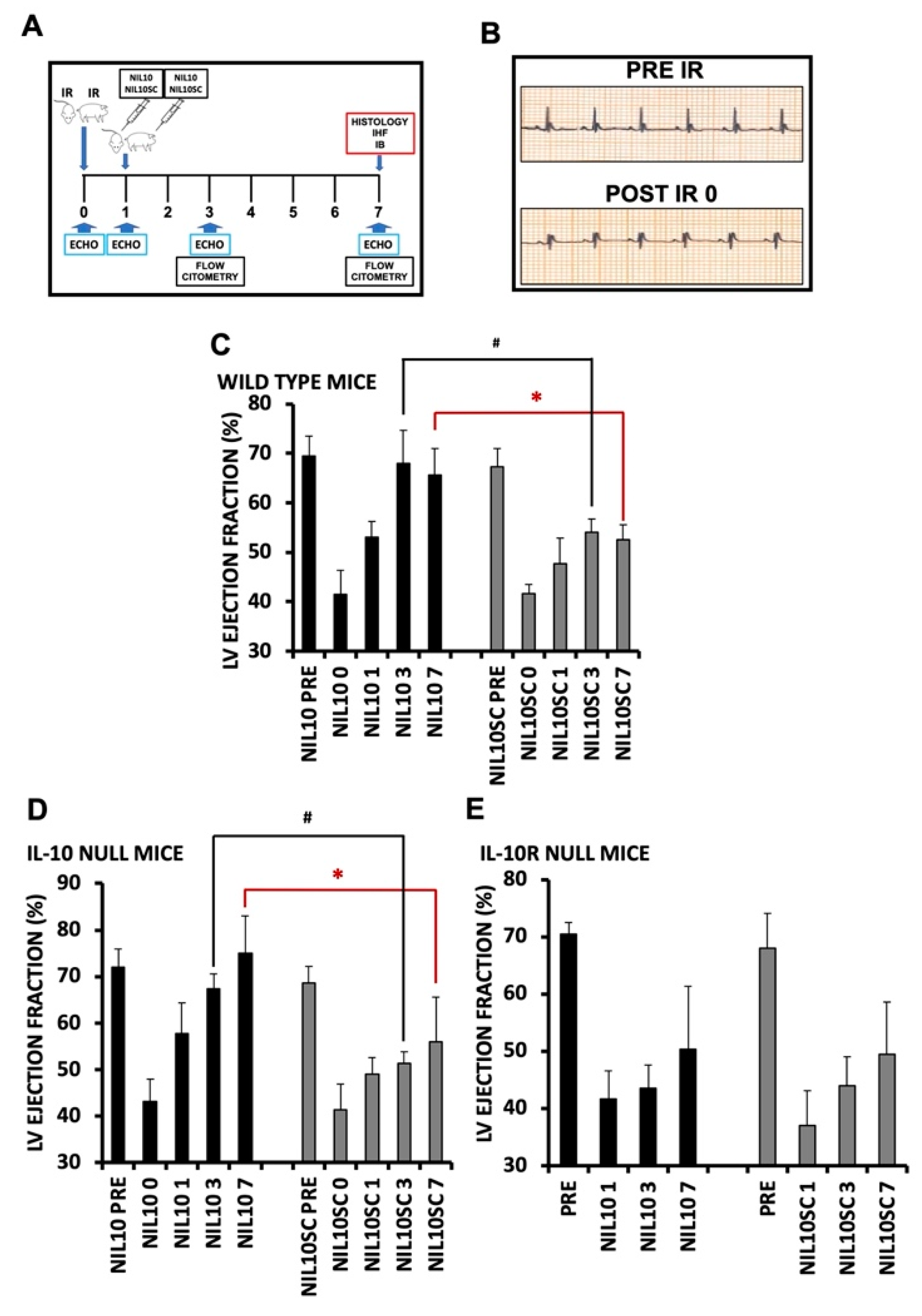 Pharmaceutics 14 02044 g003