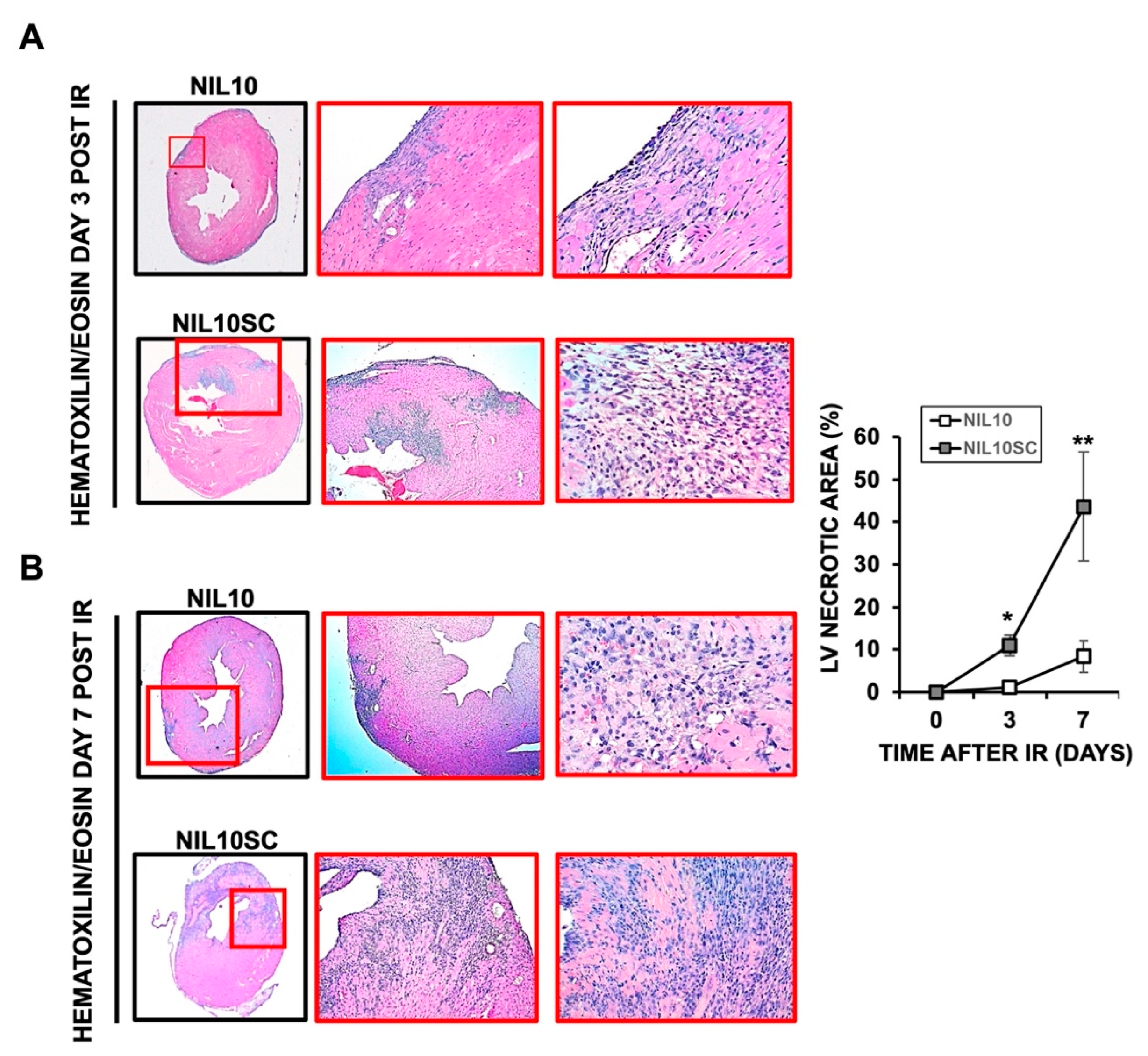 Pharmaceutics 14 02044 g004
