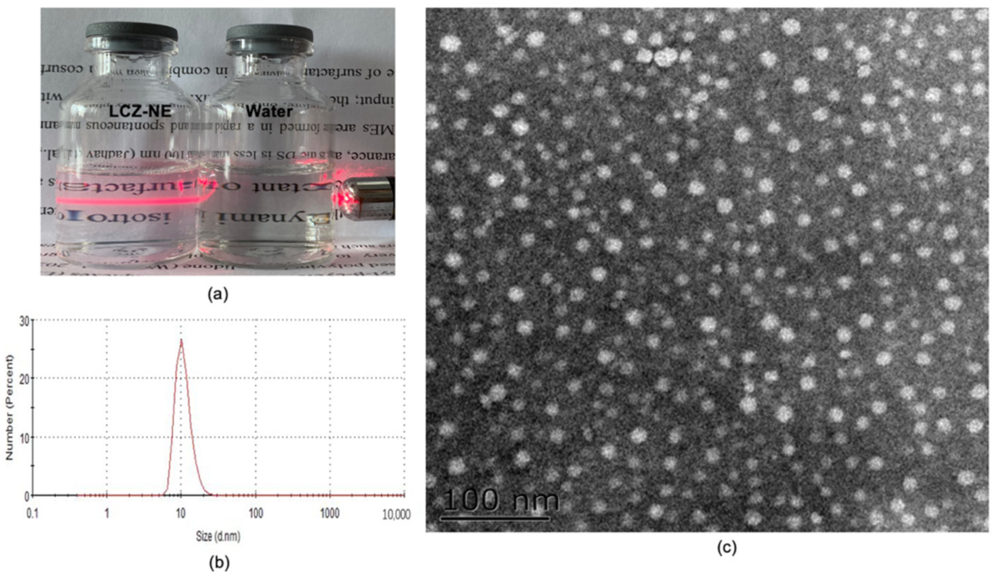 Pharmaceutics 14 02052 g006