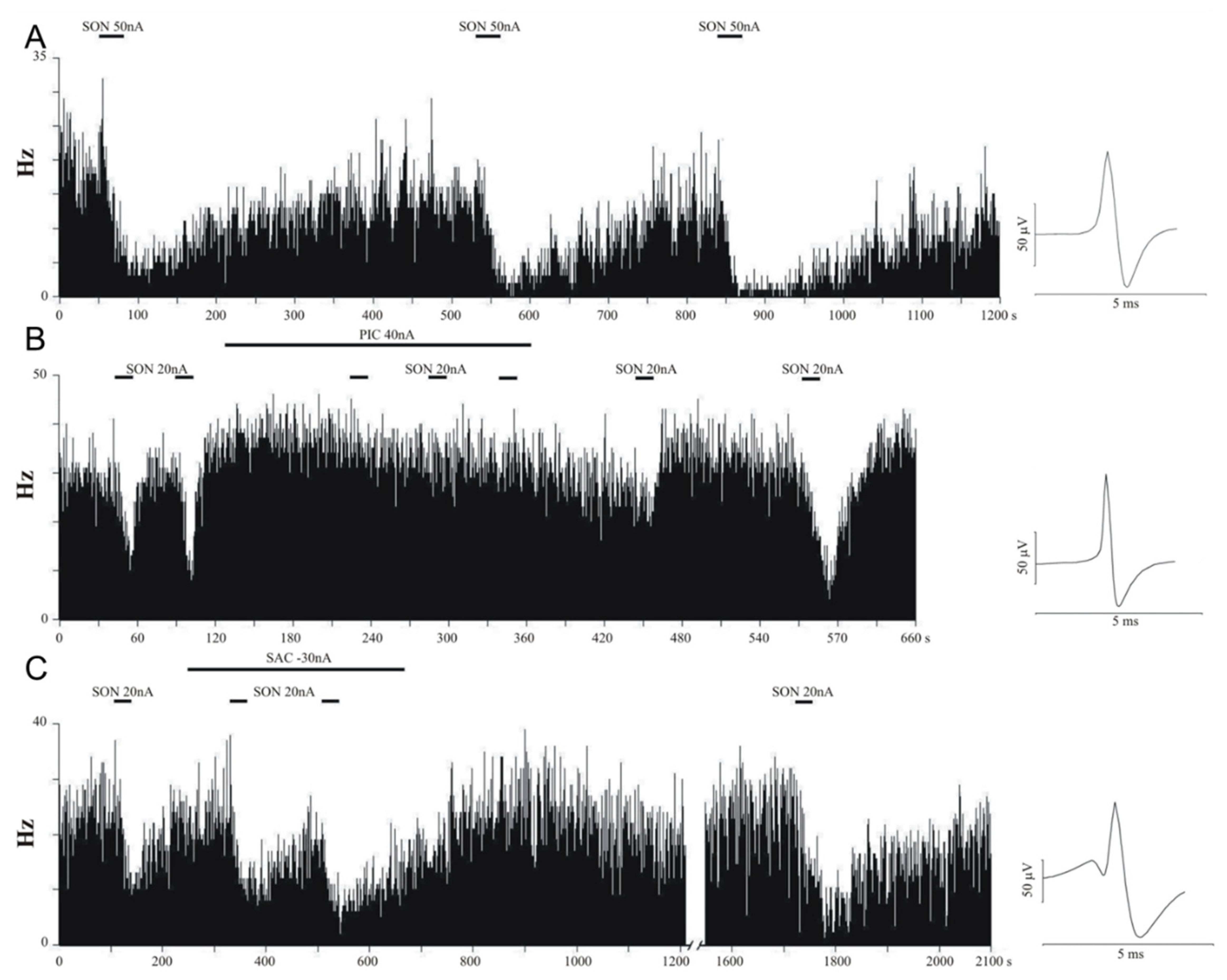 Pharmaceutics 14 02067 g001