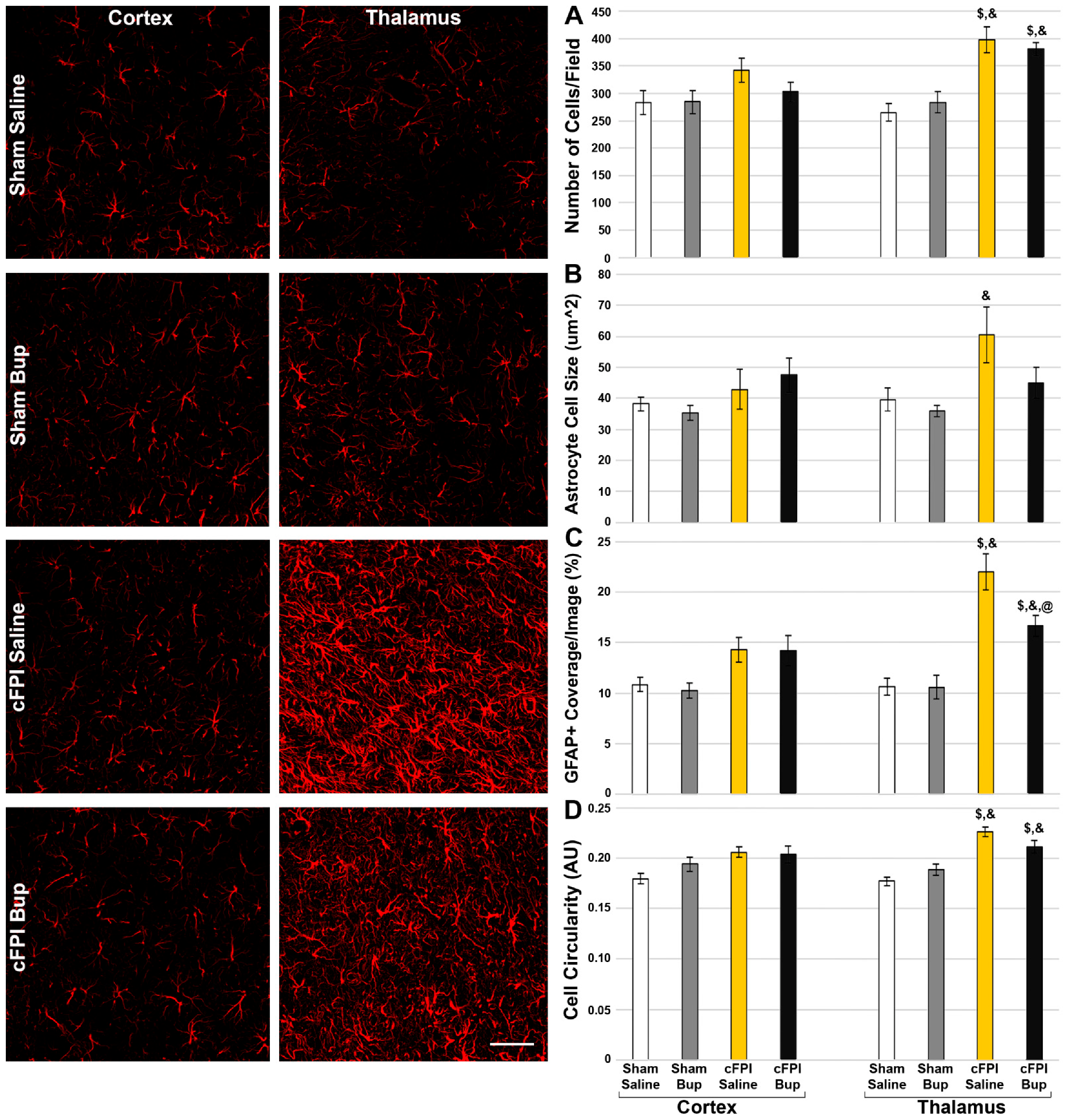 Pharmaceutics 14 02068 g005