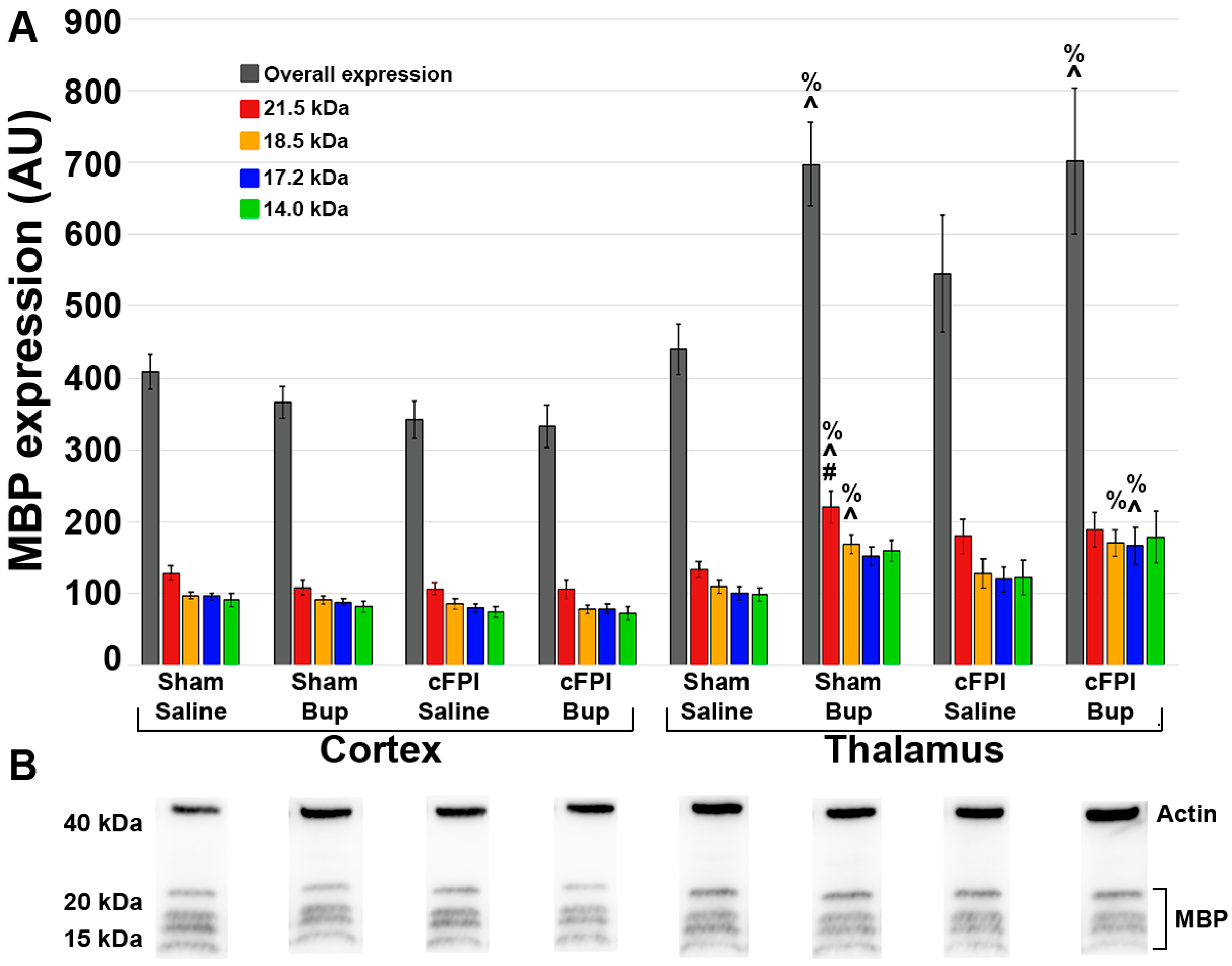 Pharmaceutics 14 02068 g007