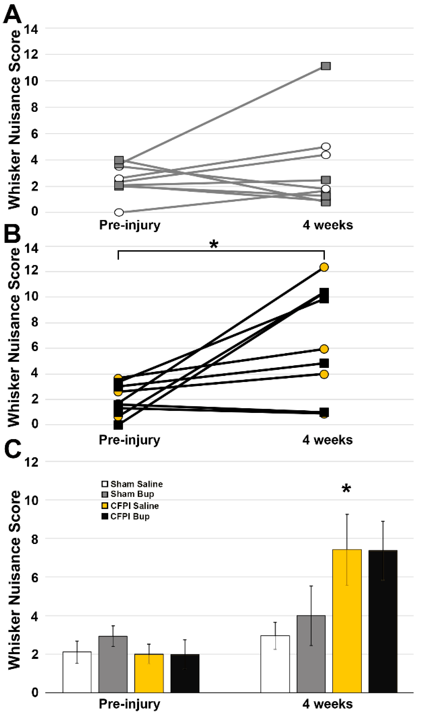 Pharmaceutics 14 02068 g008