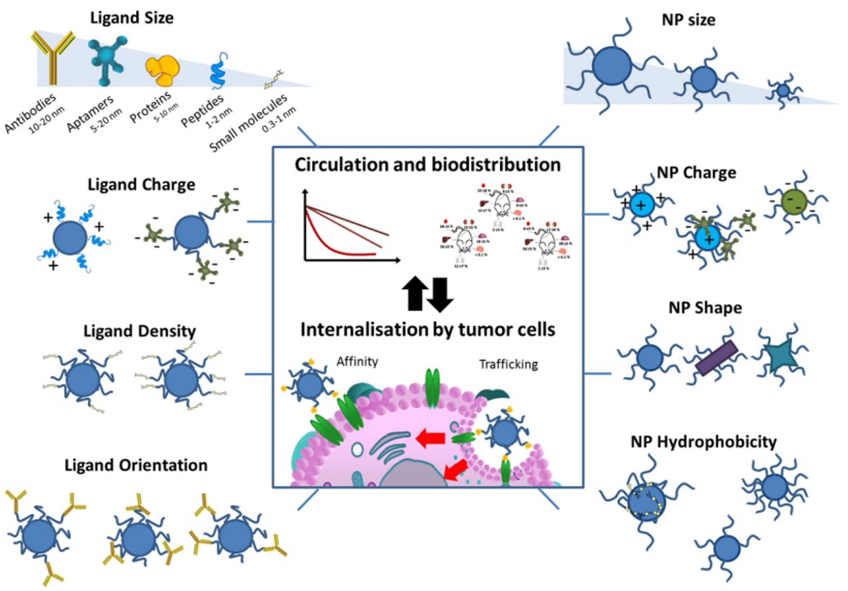 Pharmaceutics 14 02090 g004