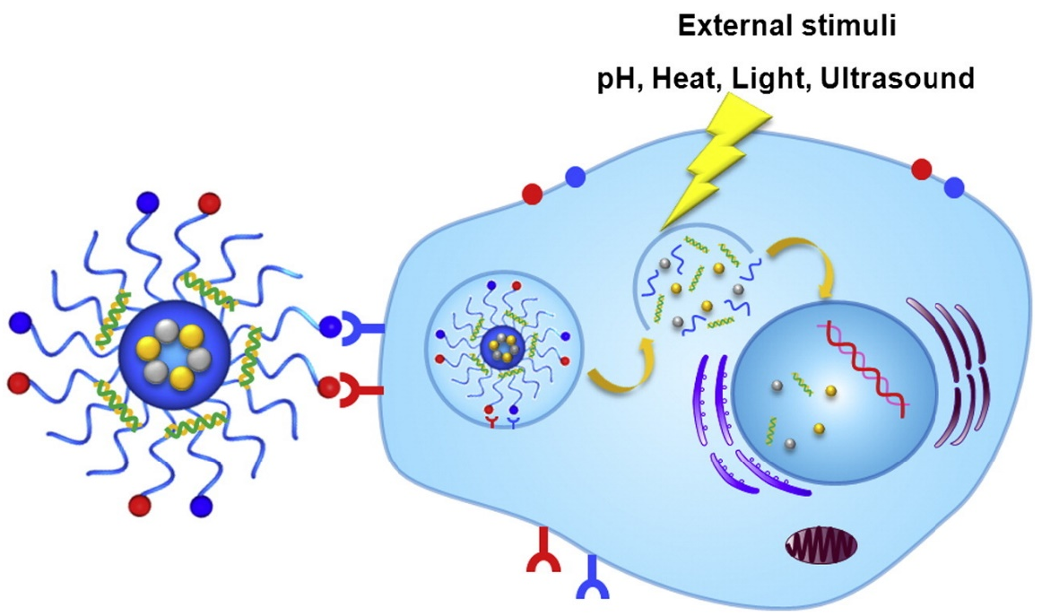 Pharmaceutics 14 02090 g005