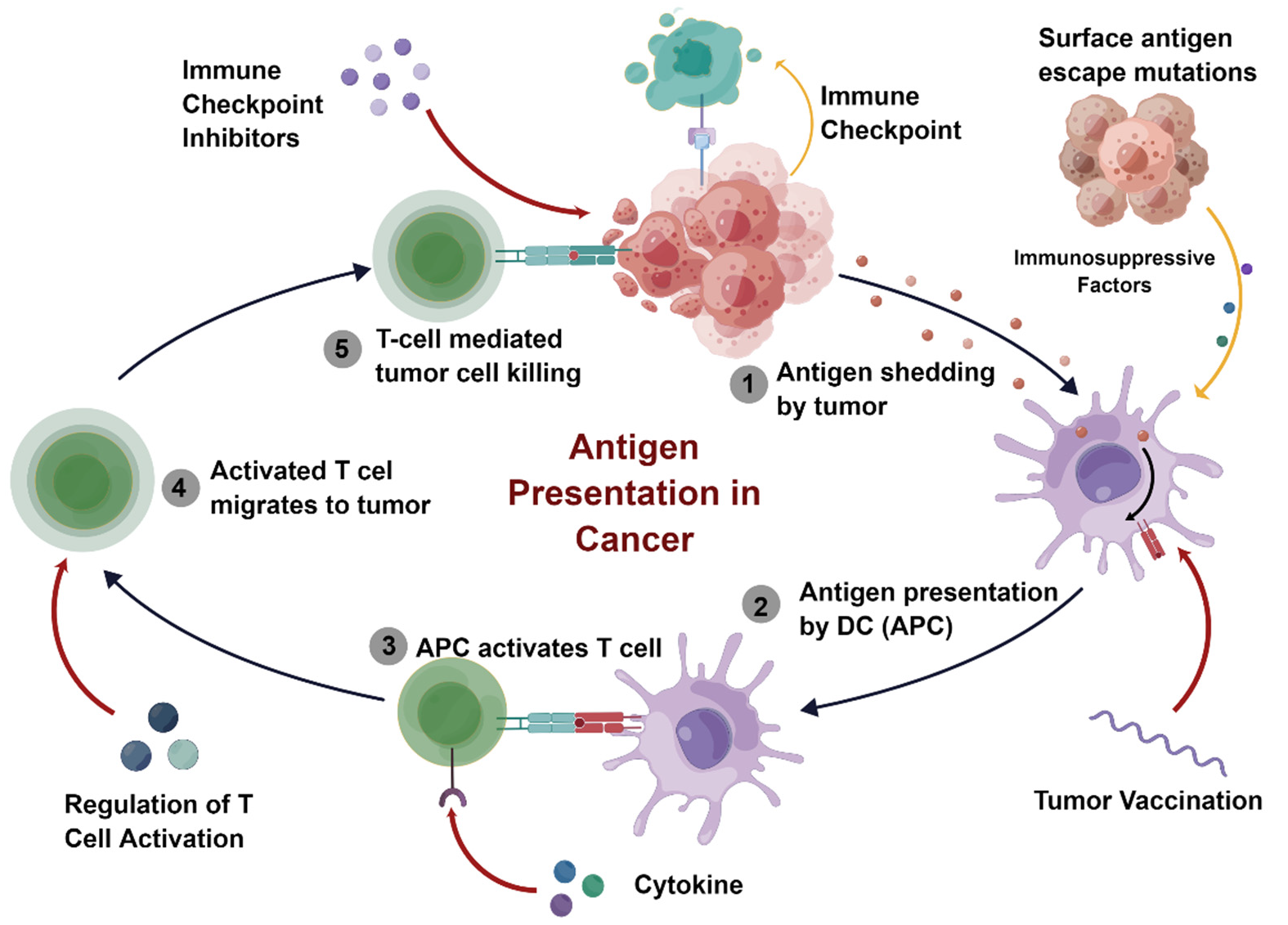 Pharmaceutics 14 02090 g006