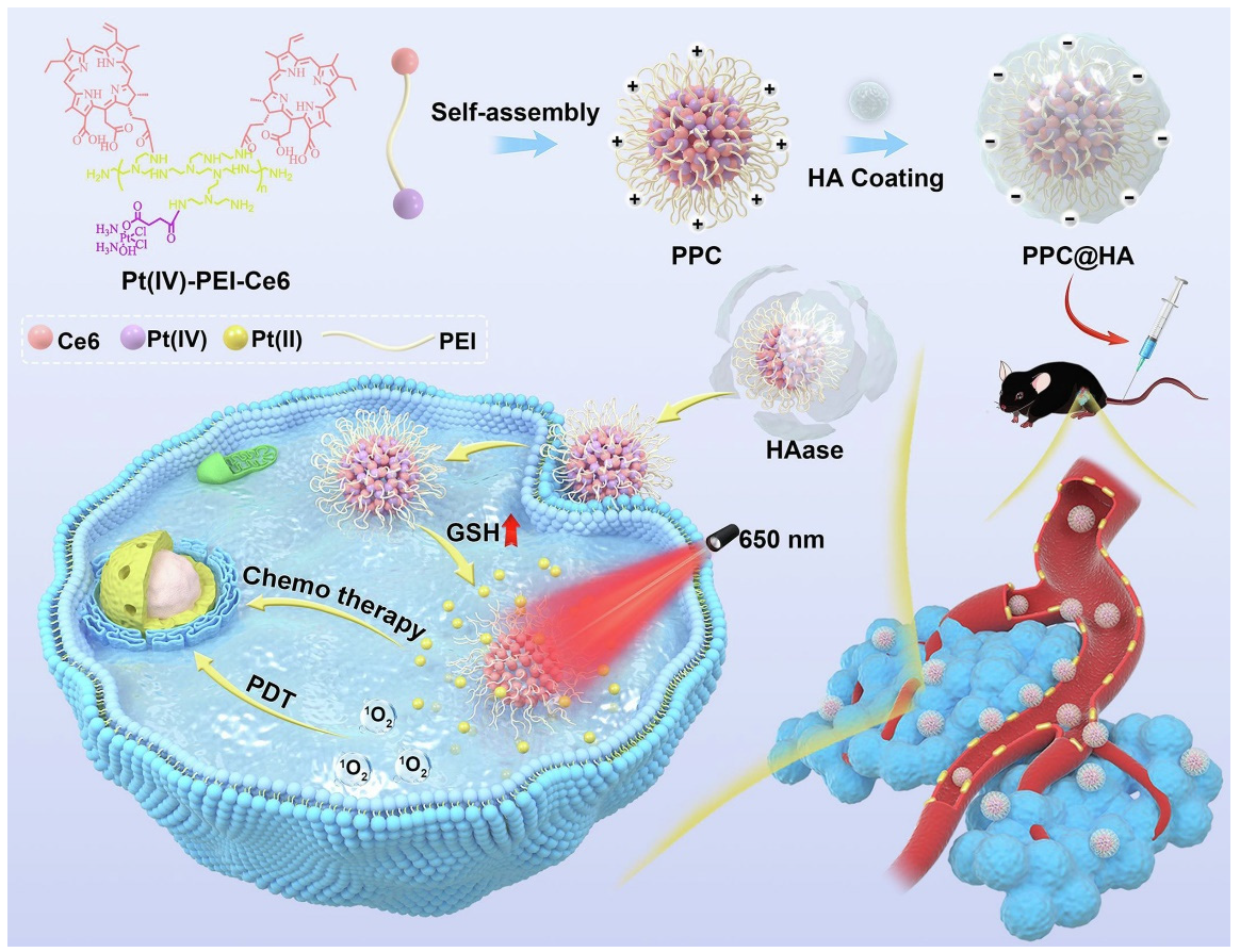 Pharmaceutics 14 02090 g007