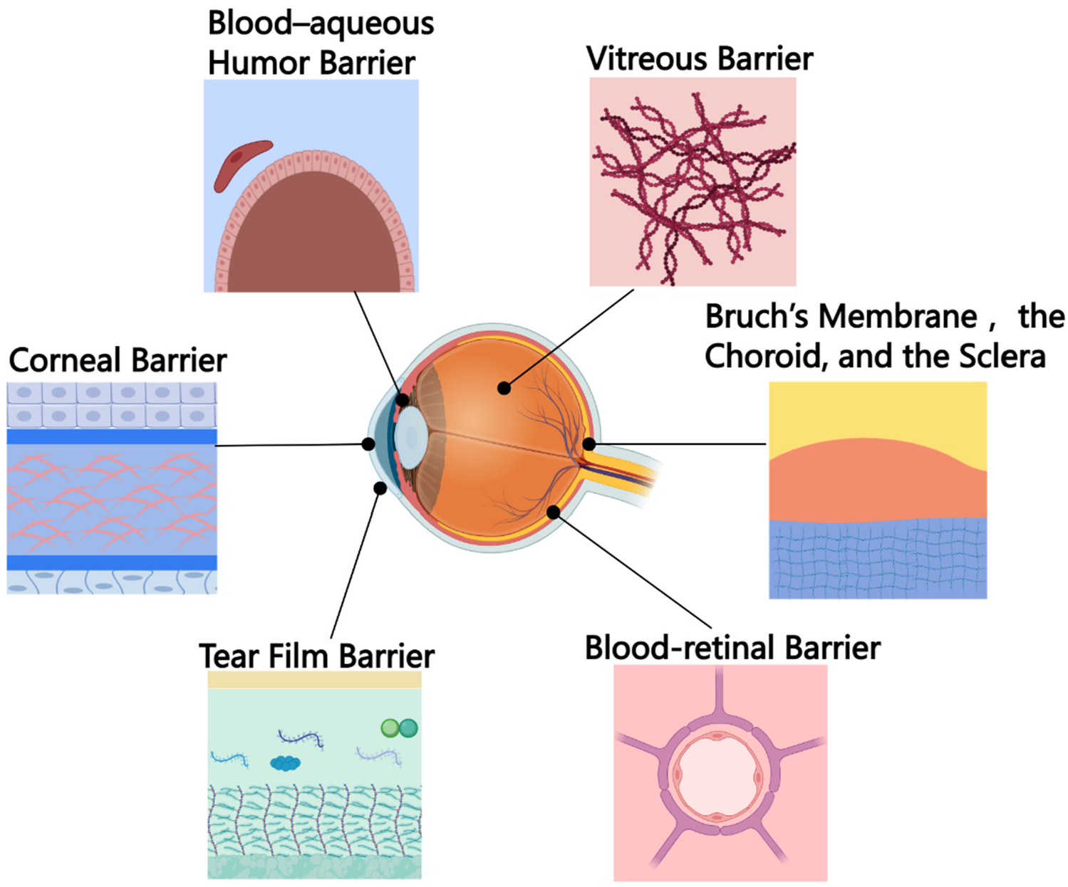 Pharmaceutics 14 02090 g008