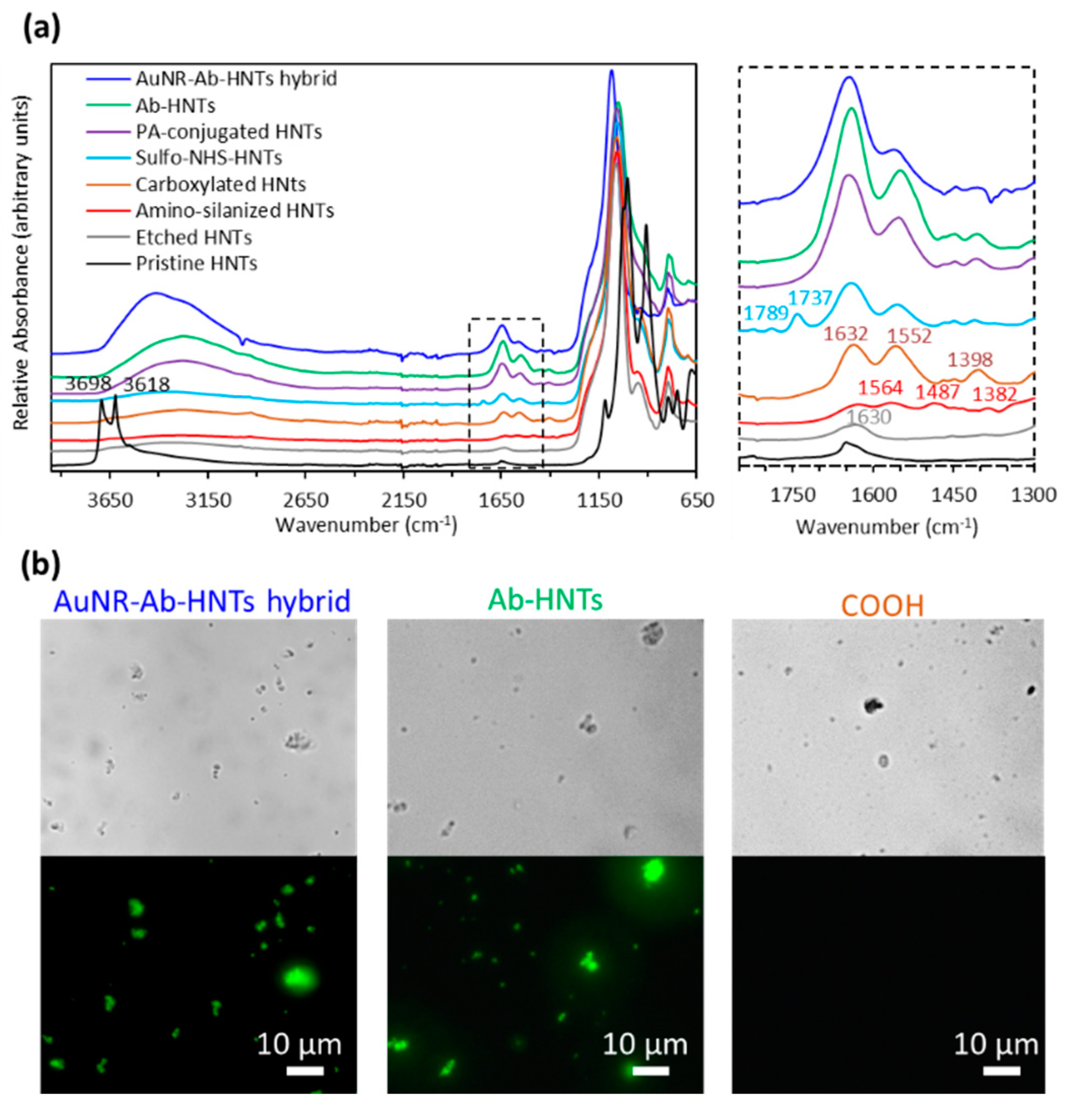 Pharmaceutics 14 02094 g001