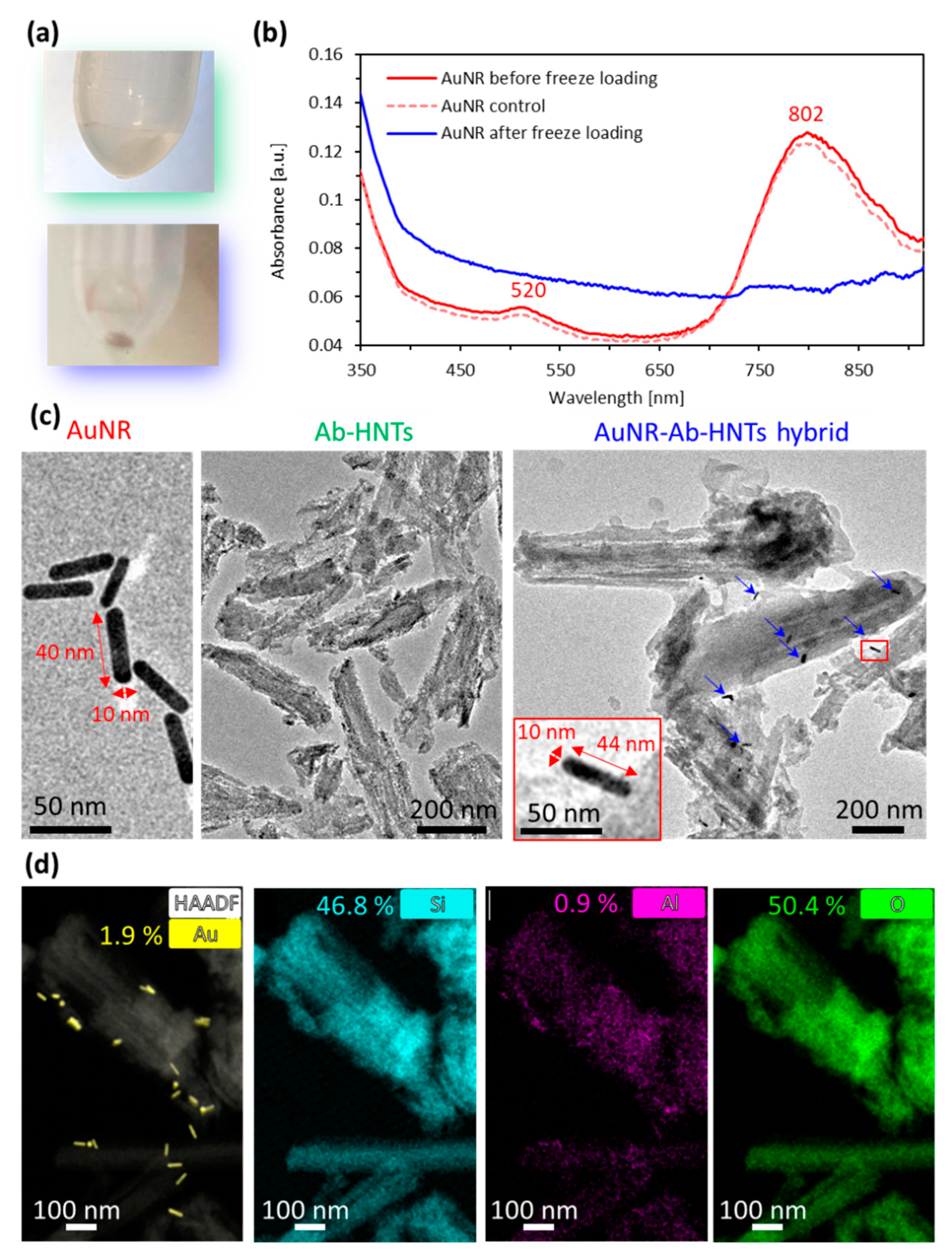 Pharmaceutics 14 02094 g002