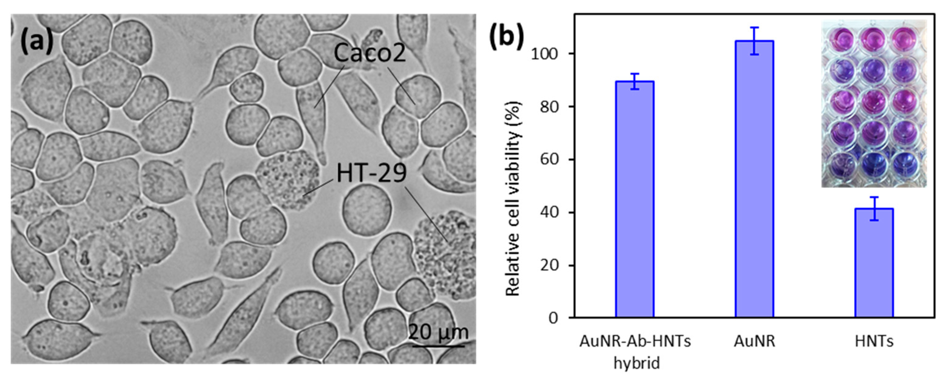 Pharmaceutics 14 02094 g003