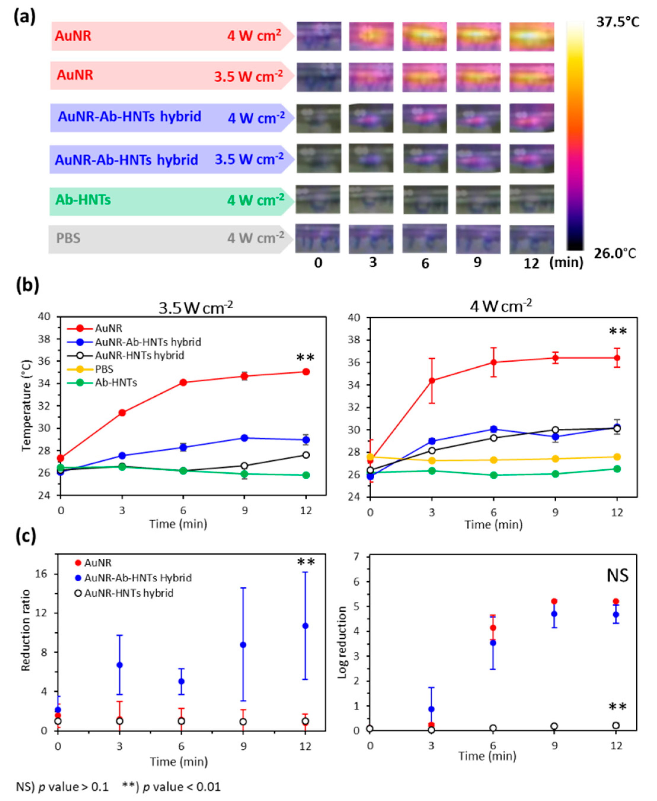 Pharmaceutics 14 02094 g004