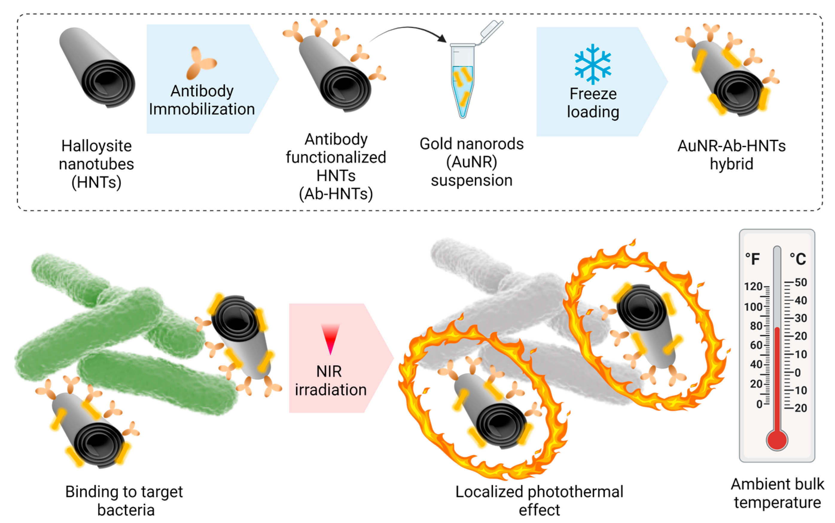 Pharmaceutics 14 02094 sch001