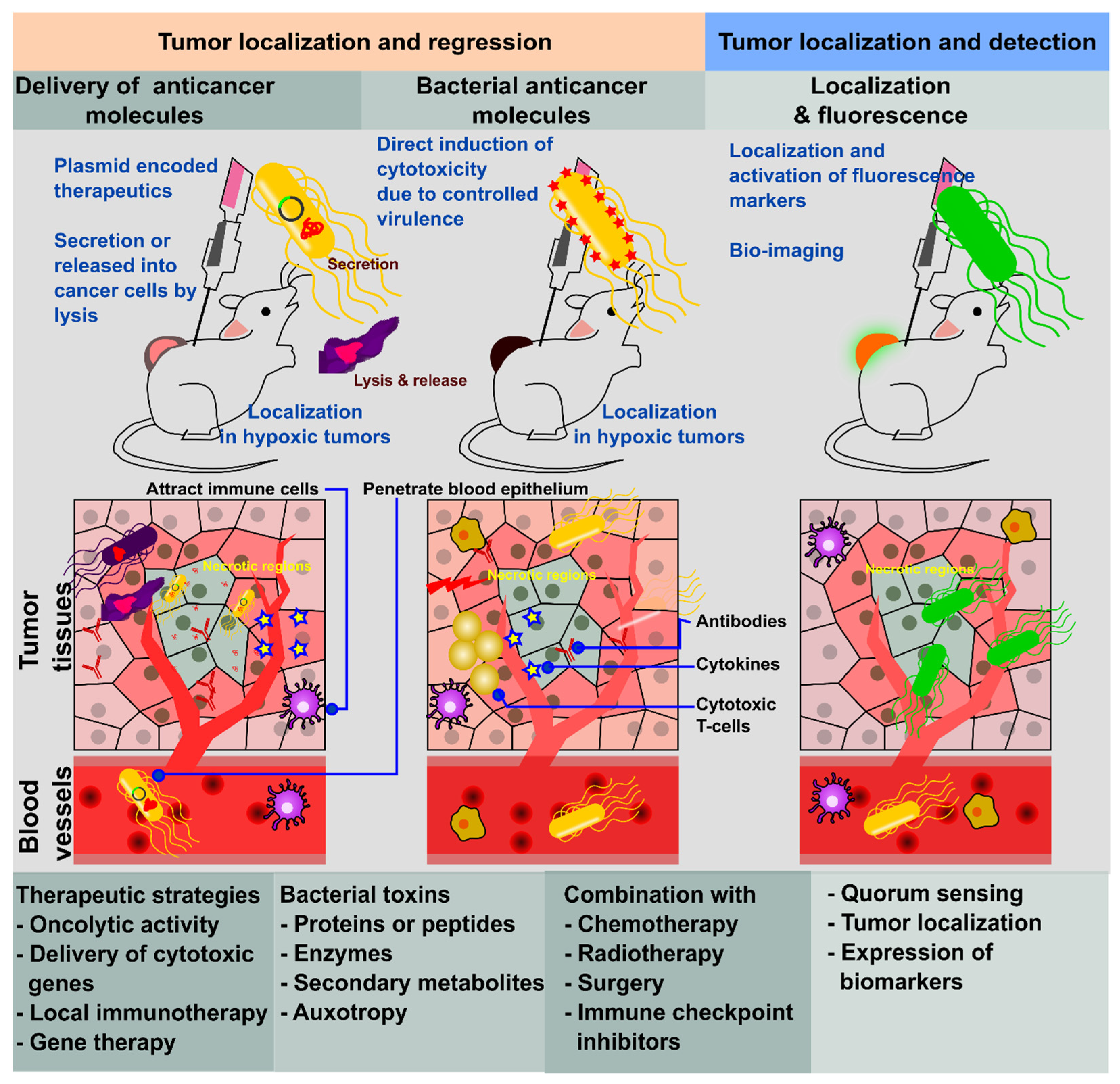 Pharmaceutics 14 02100 g001