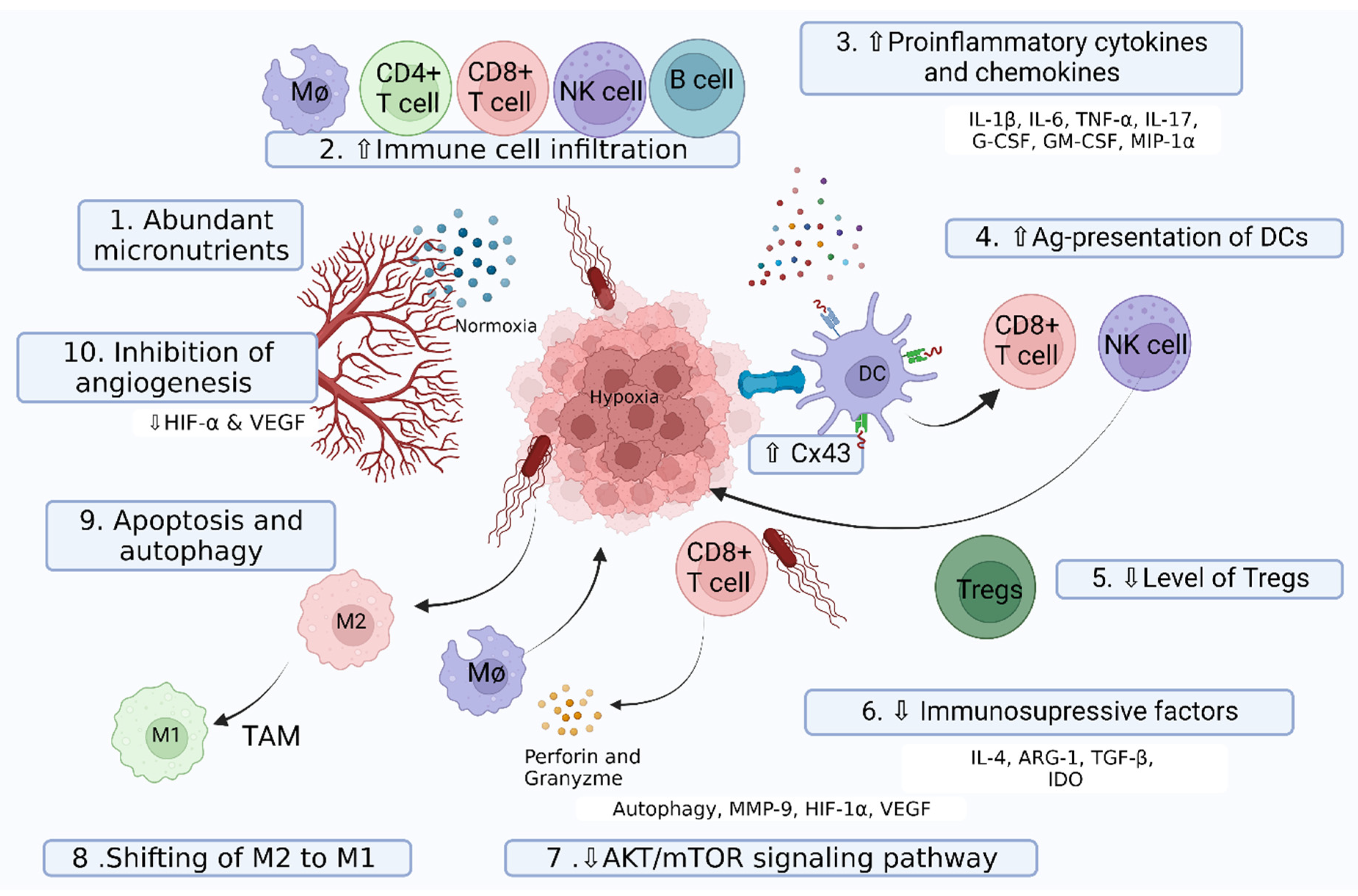 Pharmaceutics 14 02100 g002