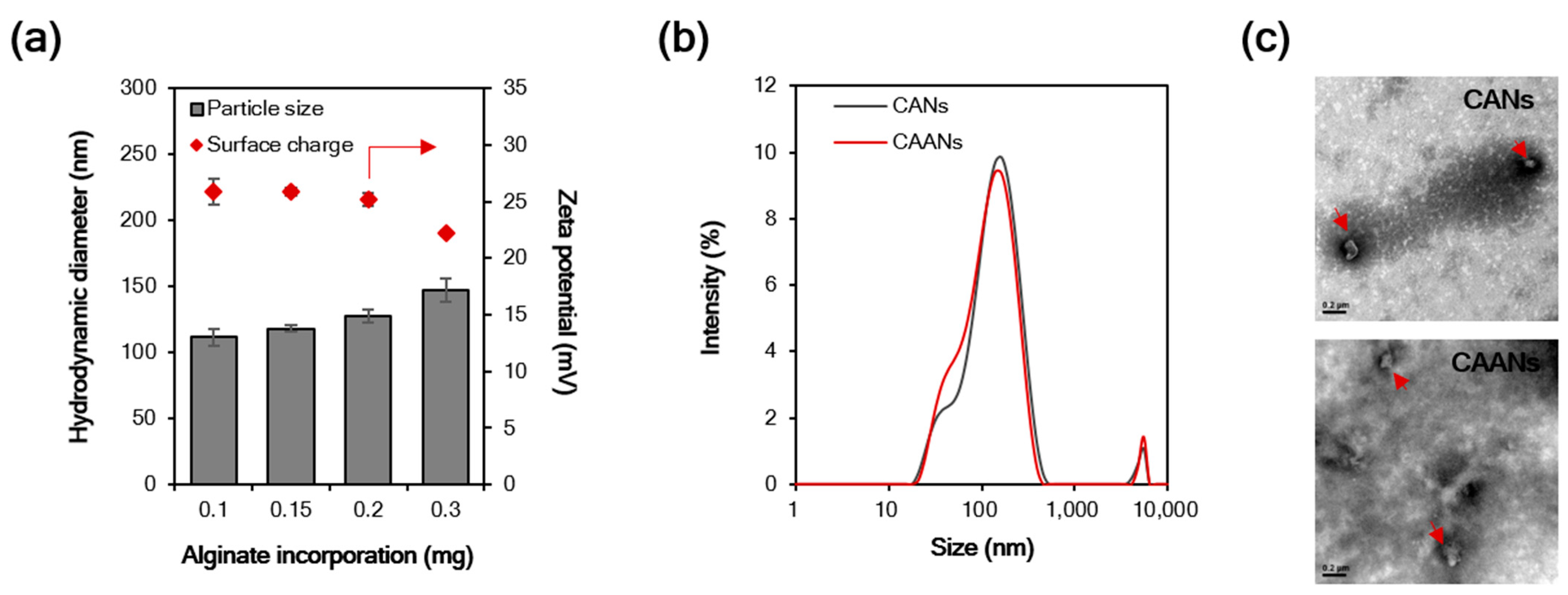Pharmaceutics 14 02117 g001 Pharmaceutics 14 02117 g001