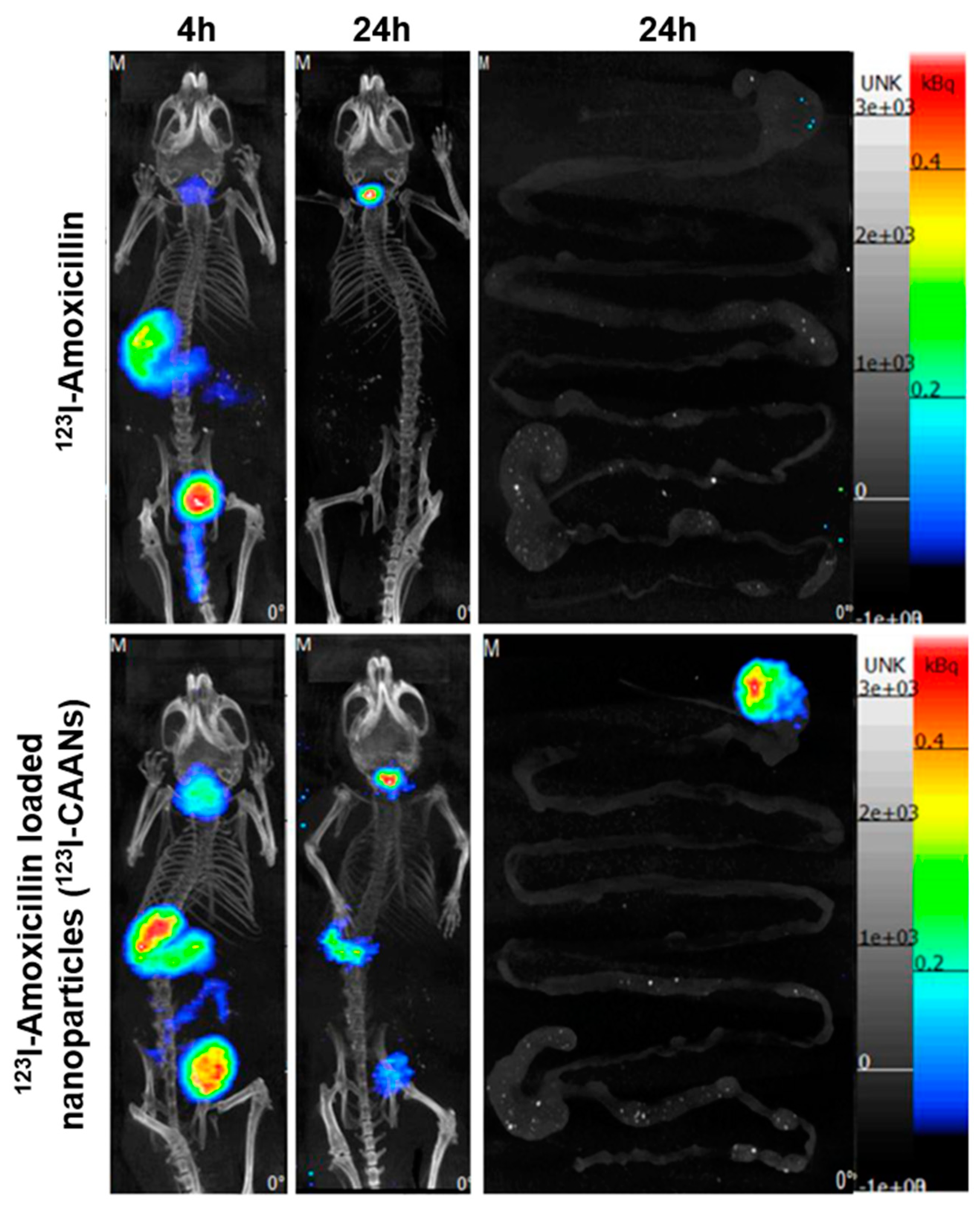 Pharmaceutics 14 02117 g006 Pharmaceutics 14 02117 g006