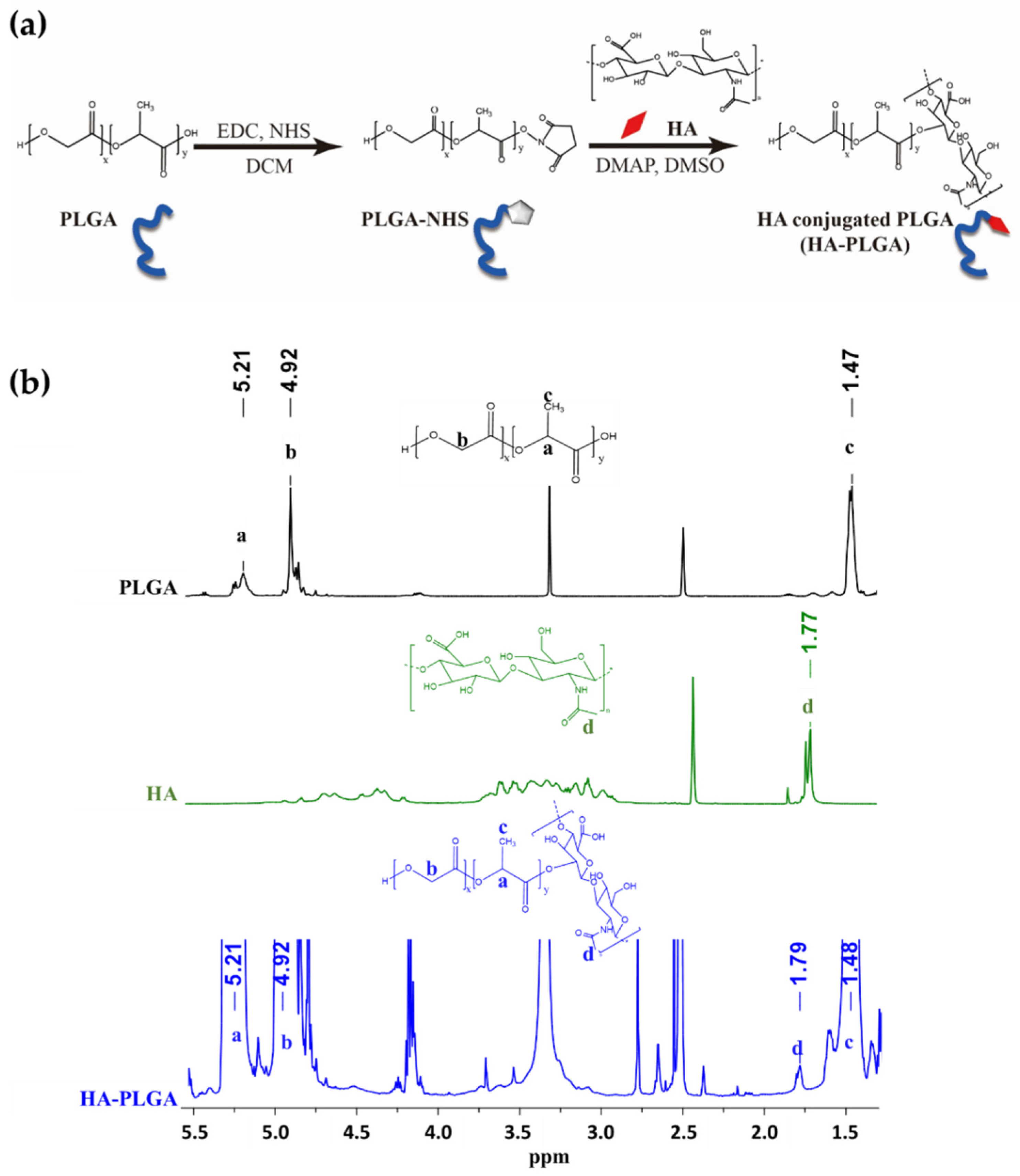 Pharmaceutics 14 02118 g001