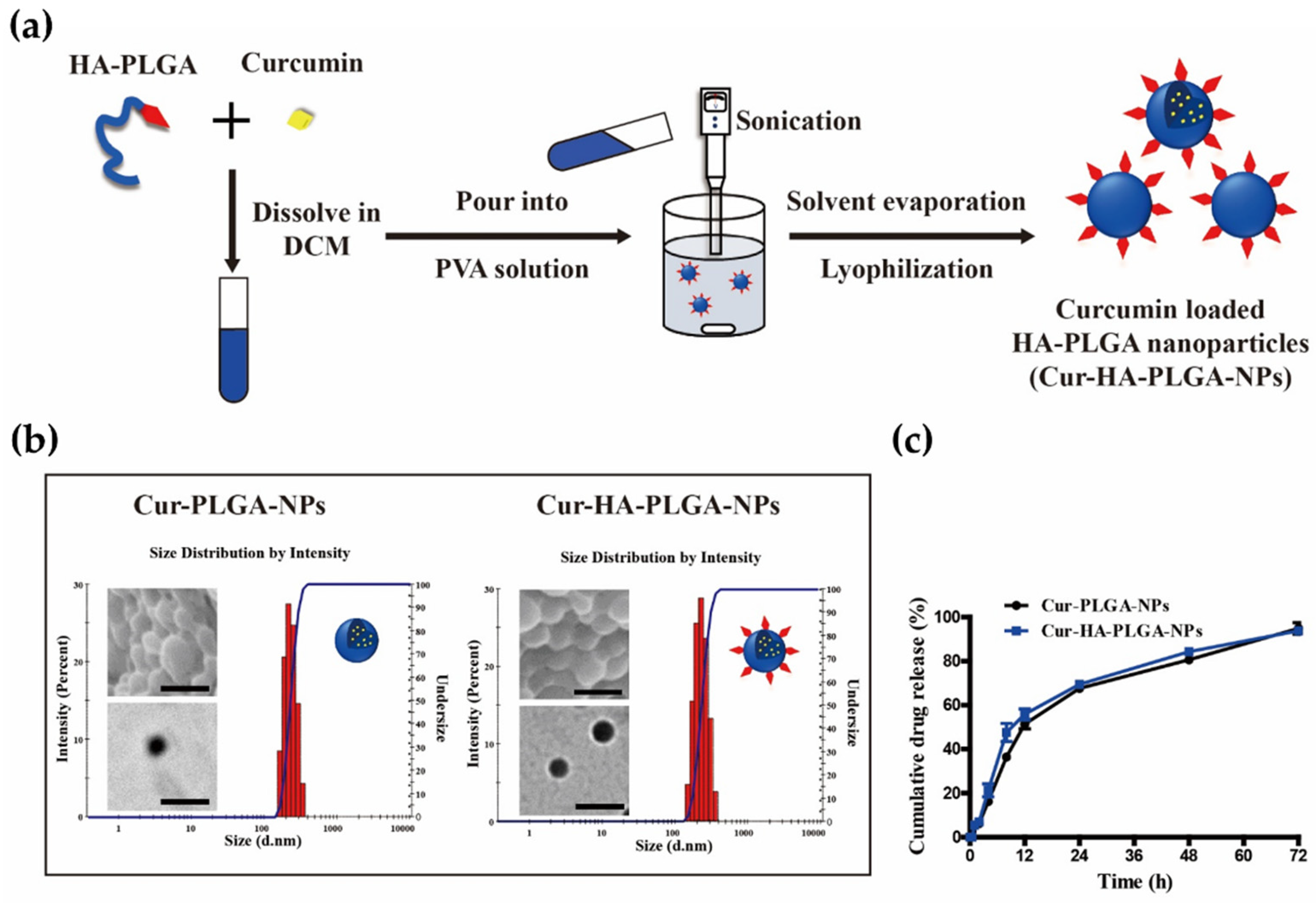 Pharmaceutics 14 02118 g002