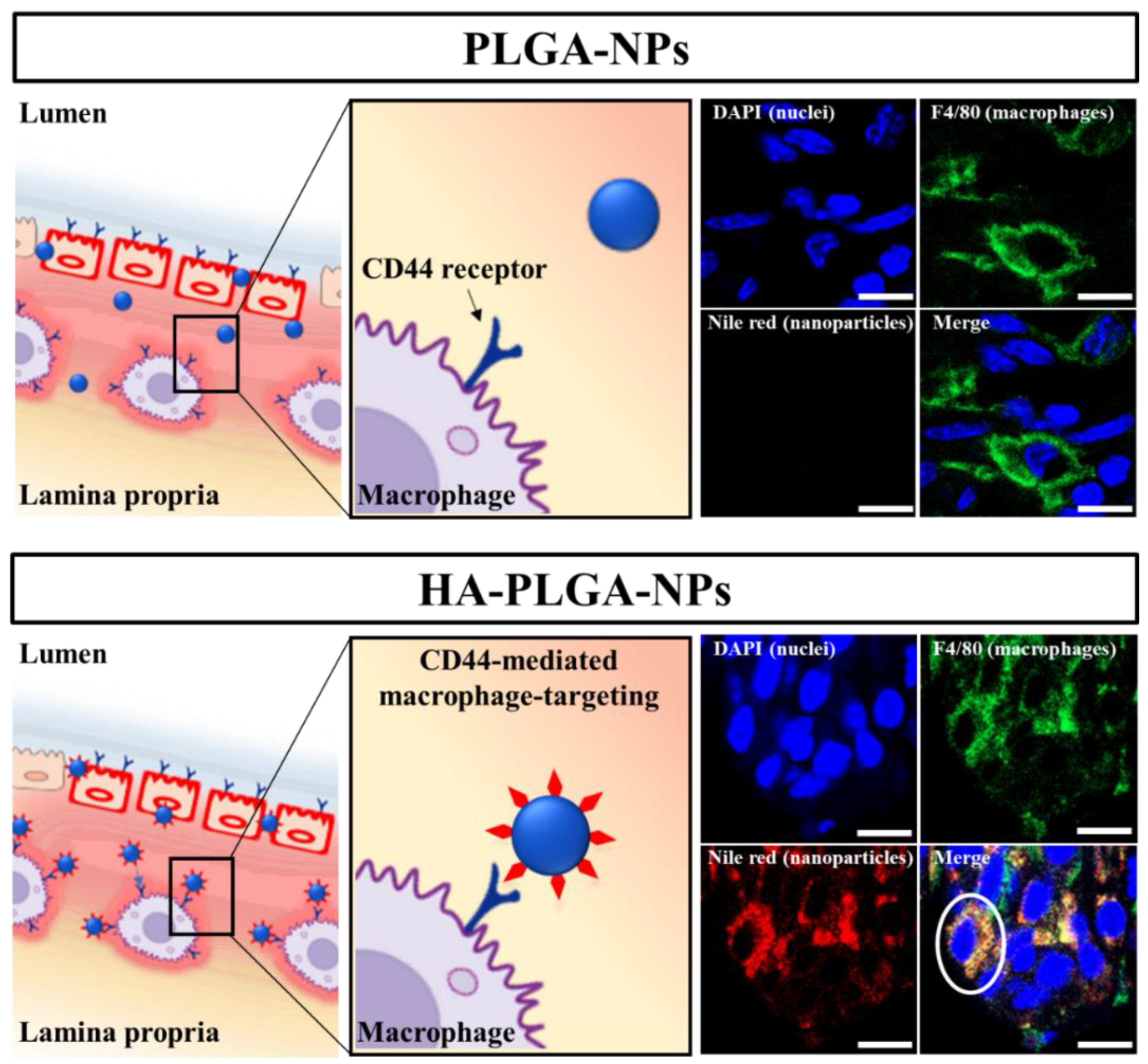 Pharmaceutics 14 02118 g004
