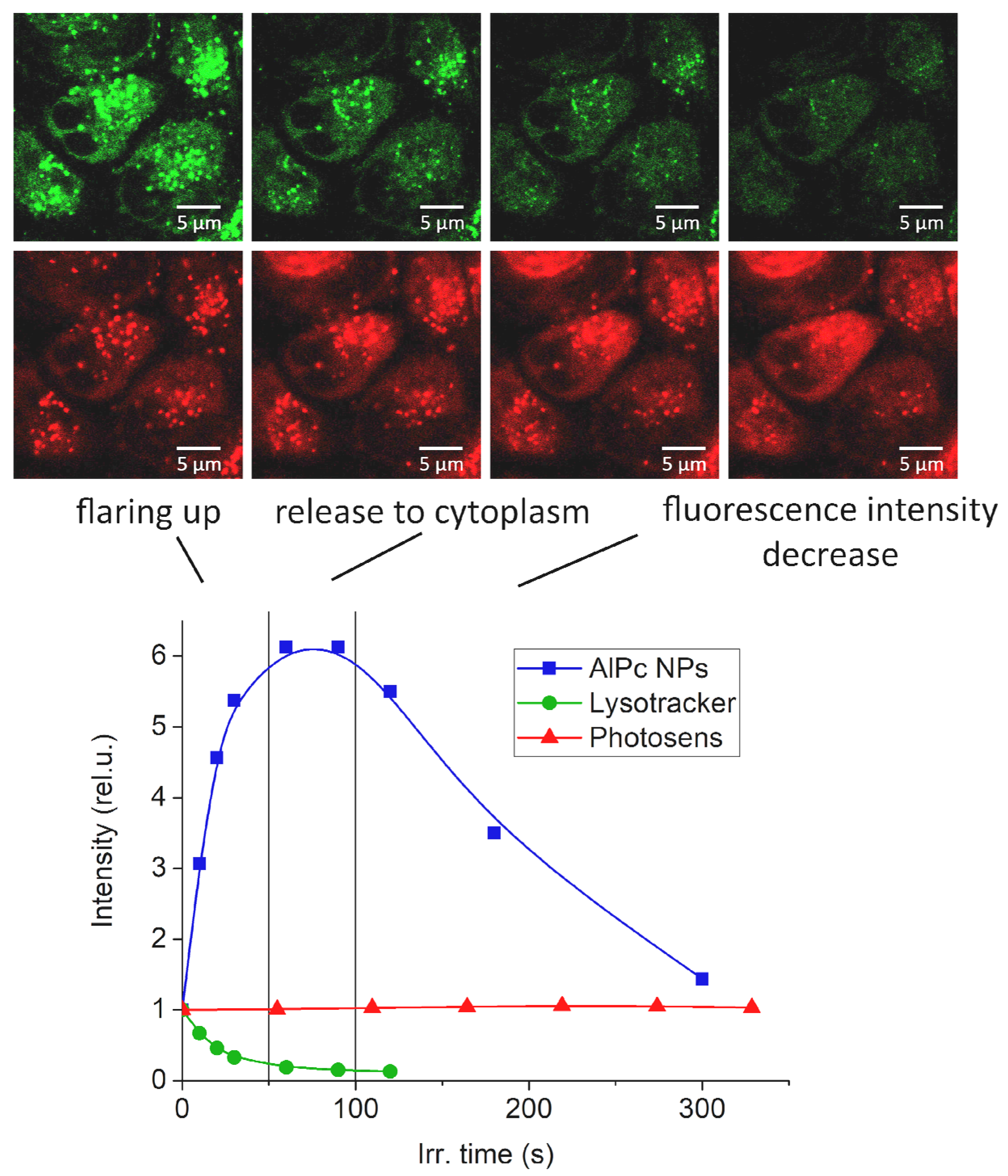 Pharmaceutics 14 02122 g004