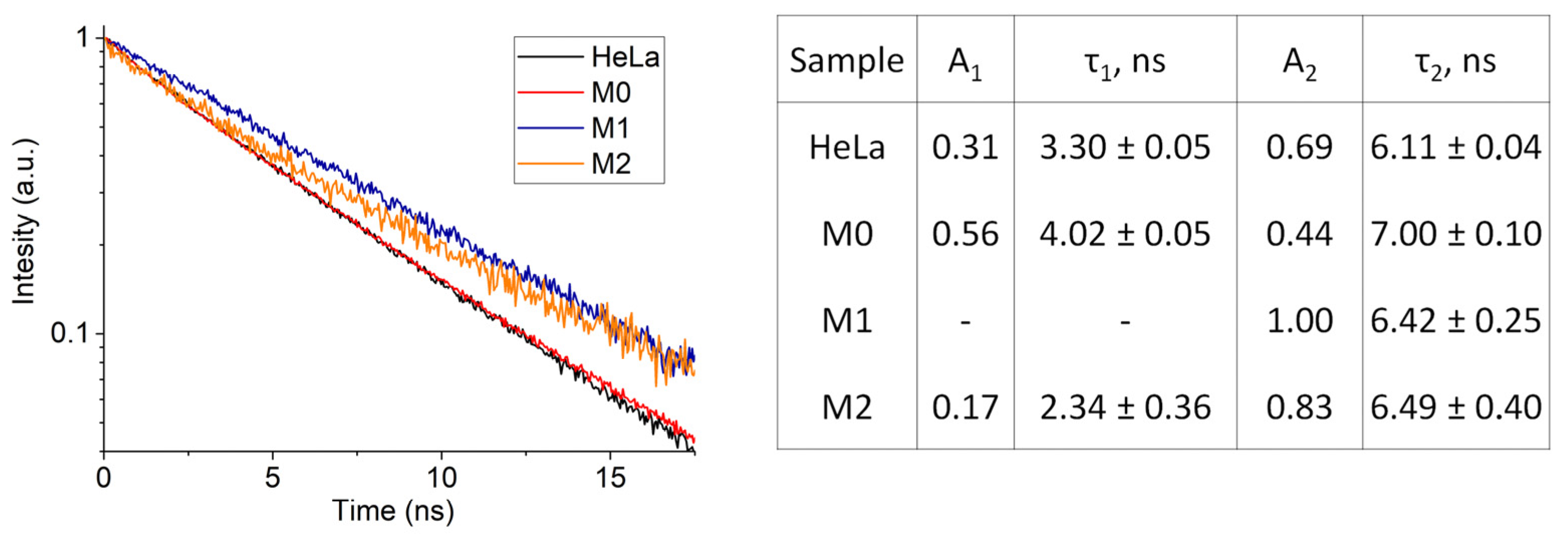 Pharmaceutics 14 02122 g006