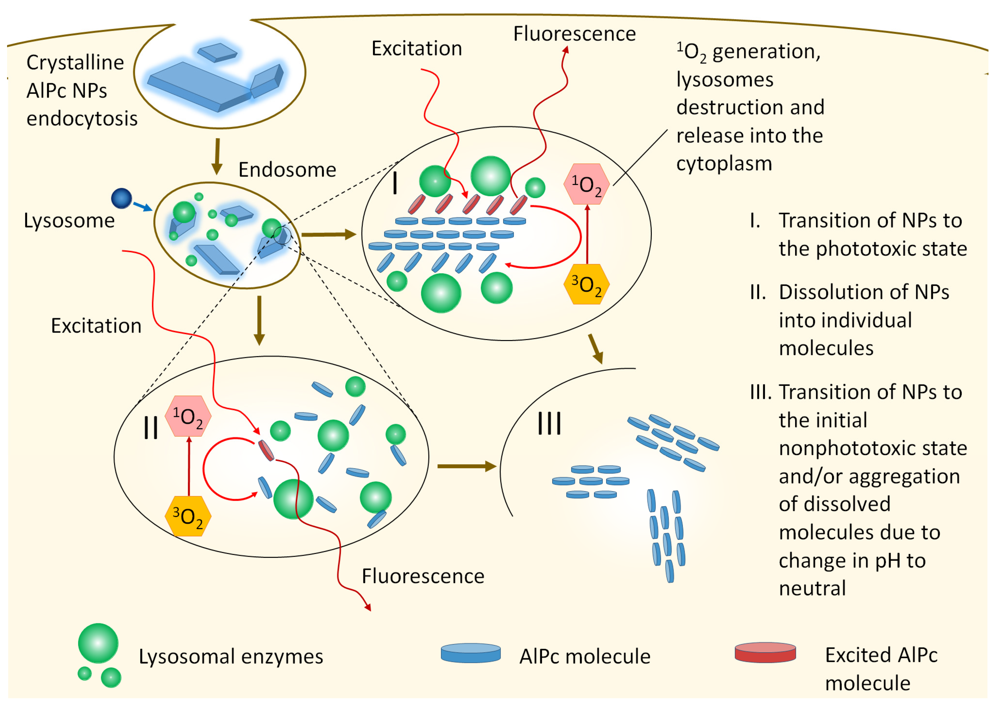 Pharmaceutics 14 02122 g008
