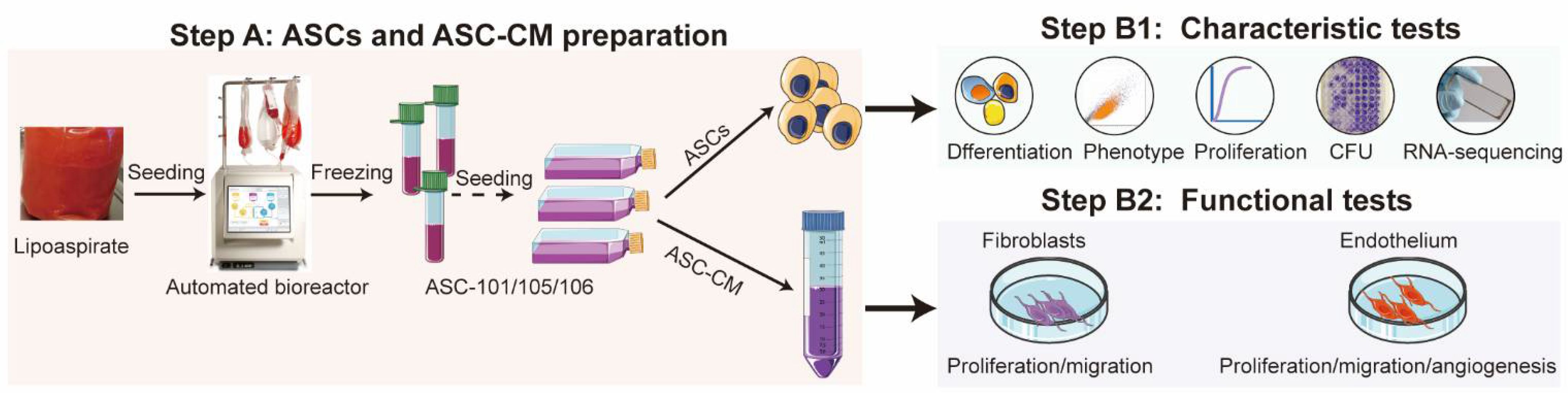 Pharmaceutics 14 02126 g001
