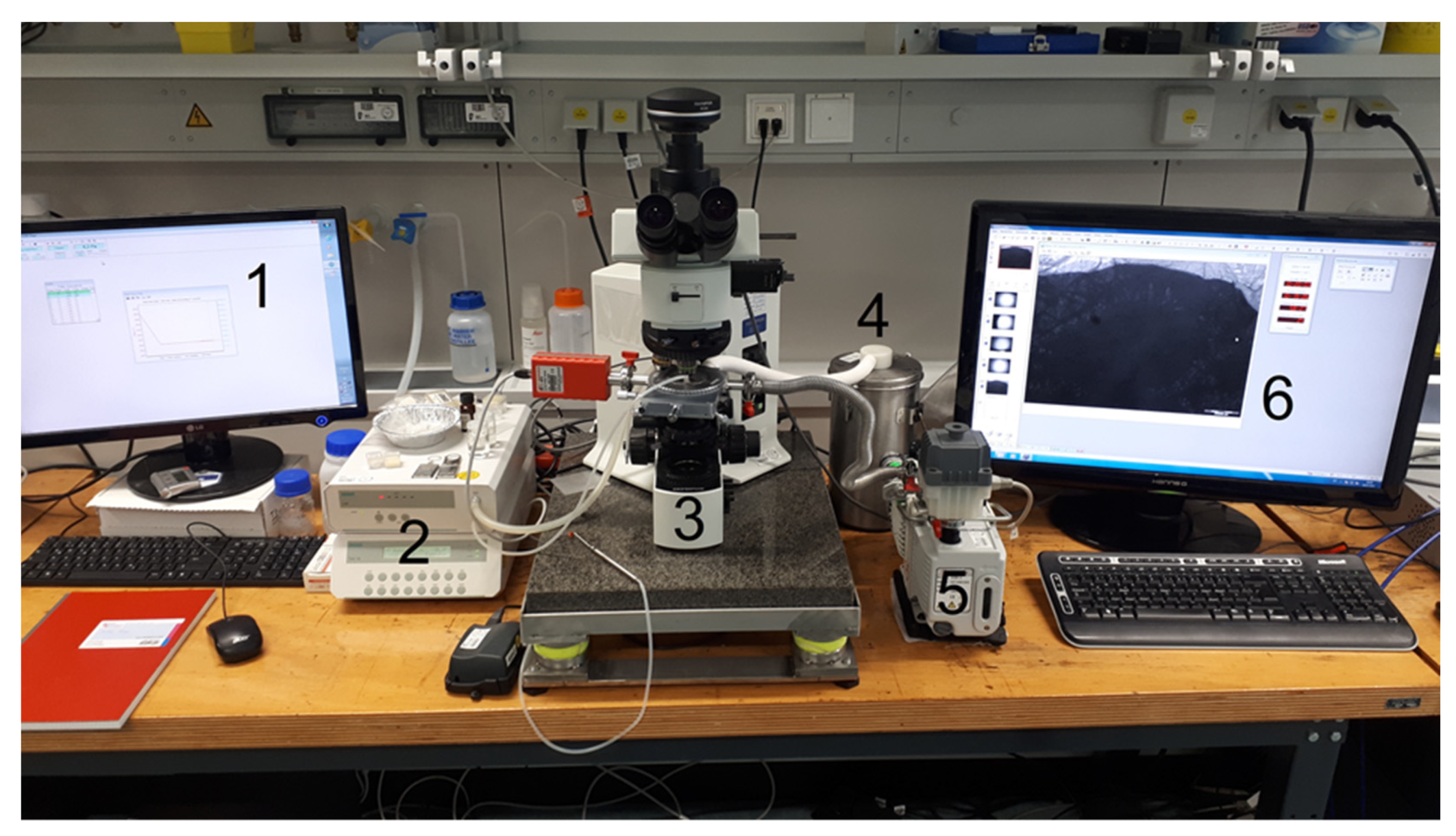 Pharmaceutics 14 02132 g001
