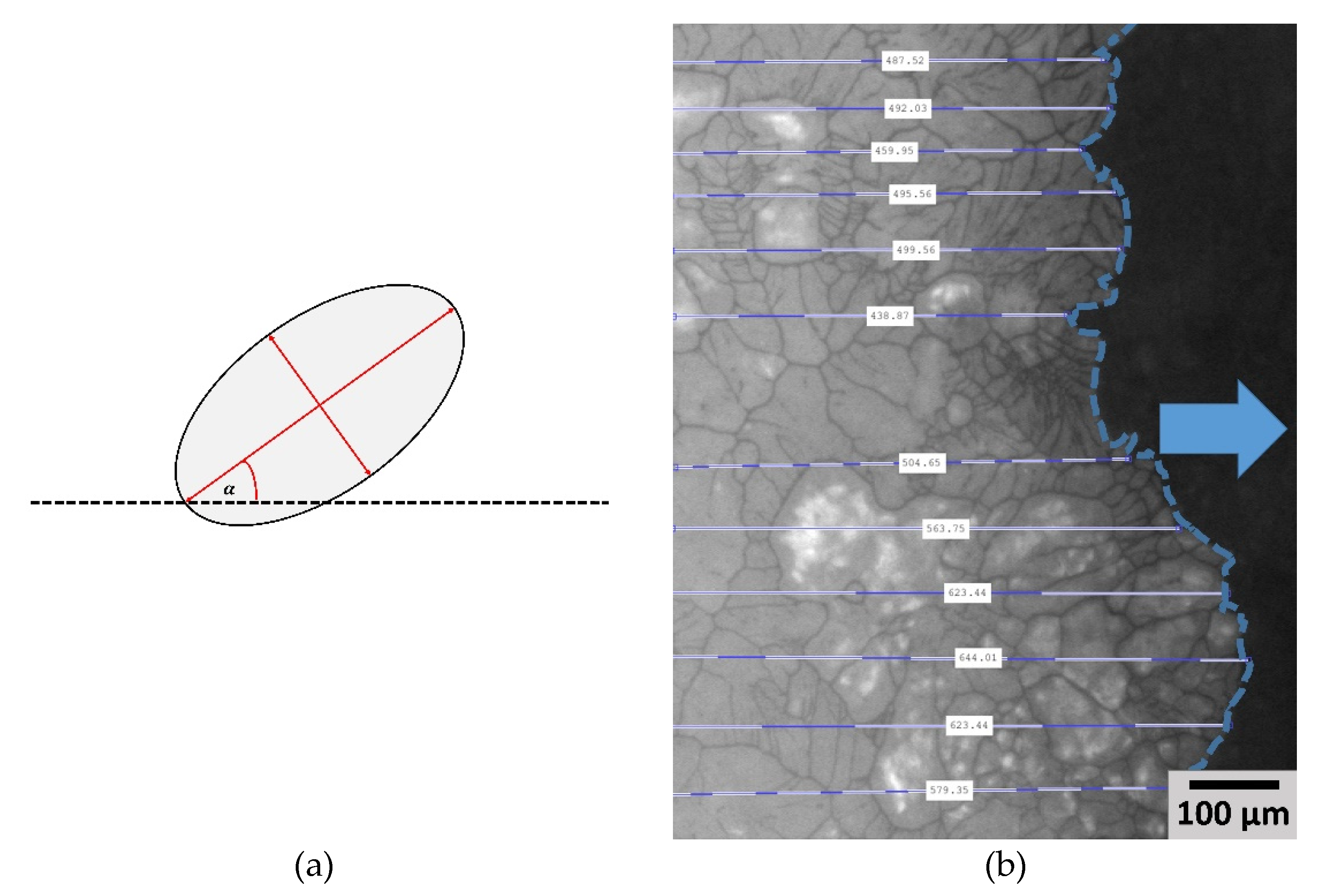 Pharmaceutics 14 02132 g003
