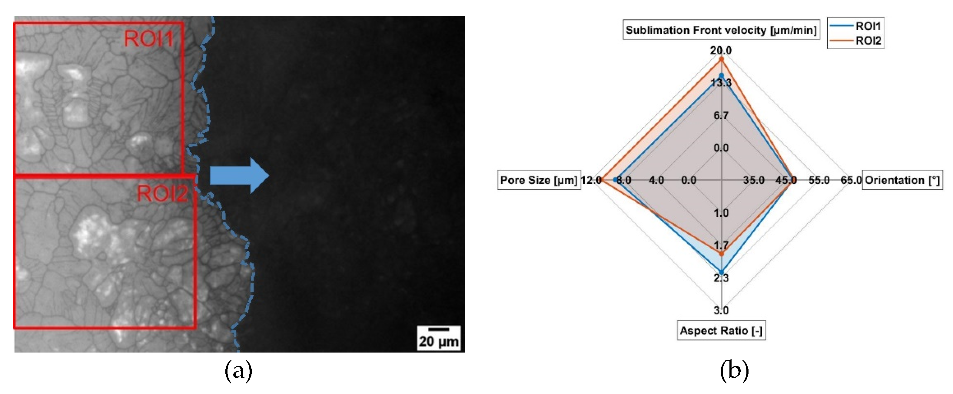 Pharmaceutics 14 02132 g009