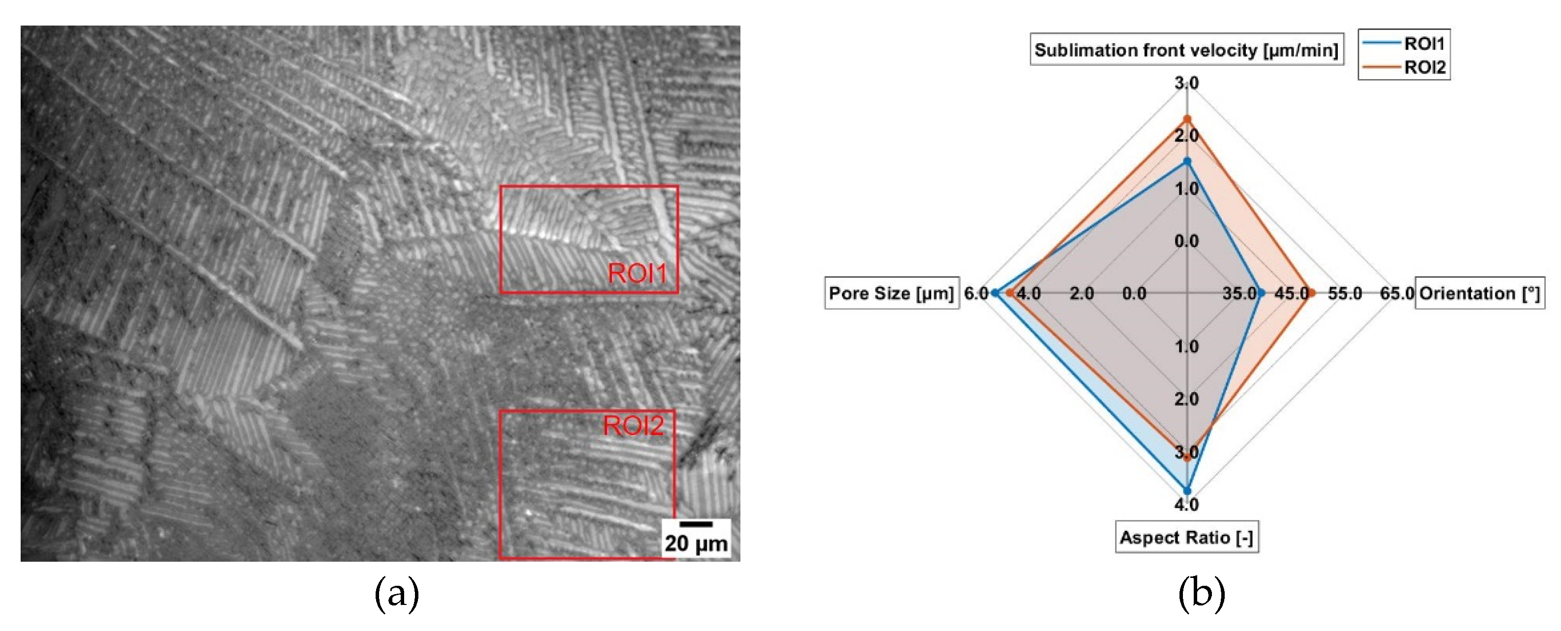 Pharmaceutics 14 02132 g011